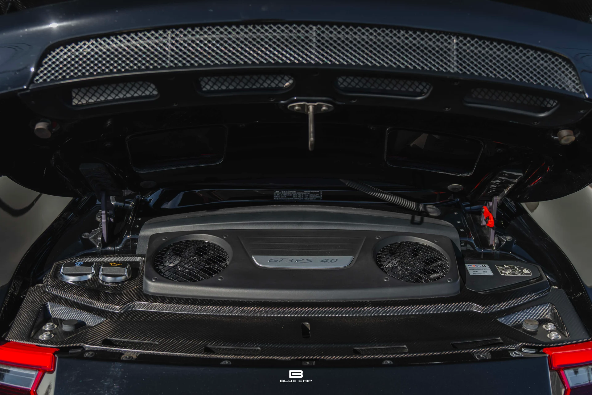 mph050_1451266545_68fa6fbe8f5bb28877359307_DSC_05272_38ac95bc66