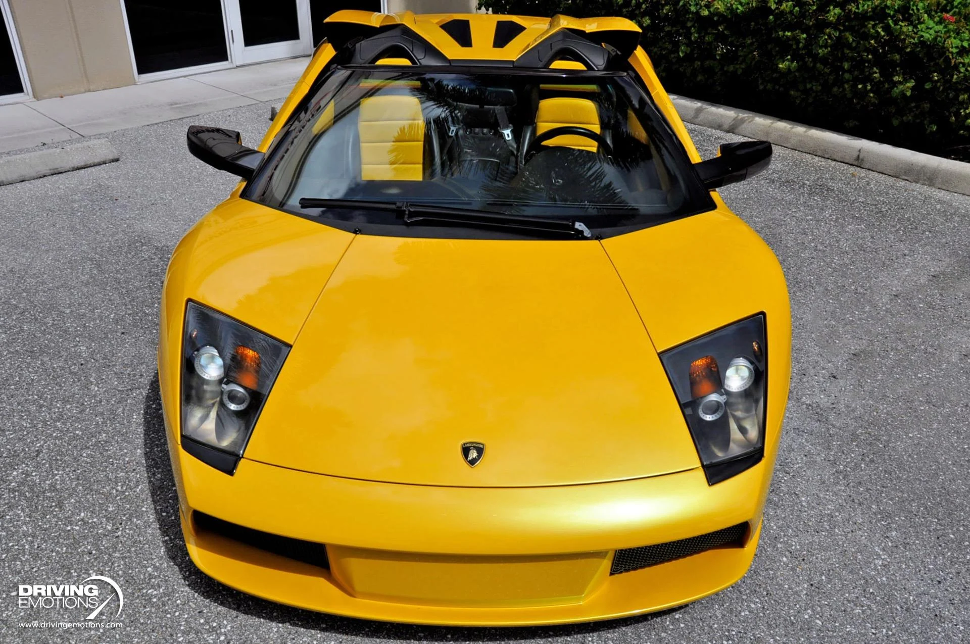 mph050_150965311_862_p51_l_162dfd1b83