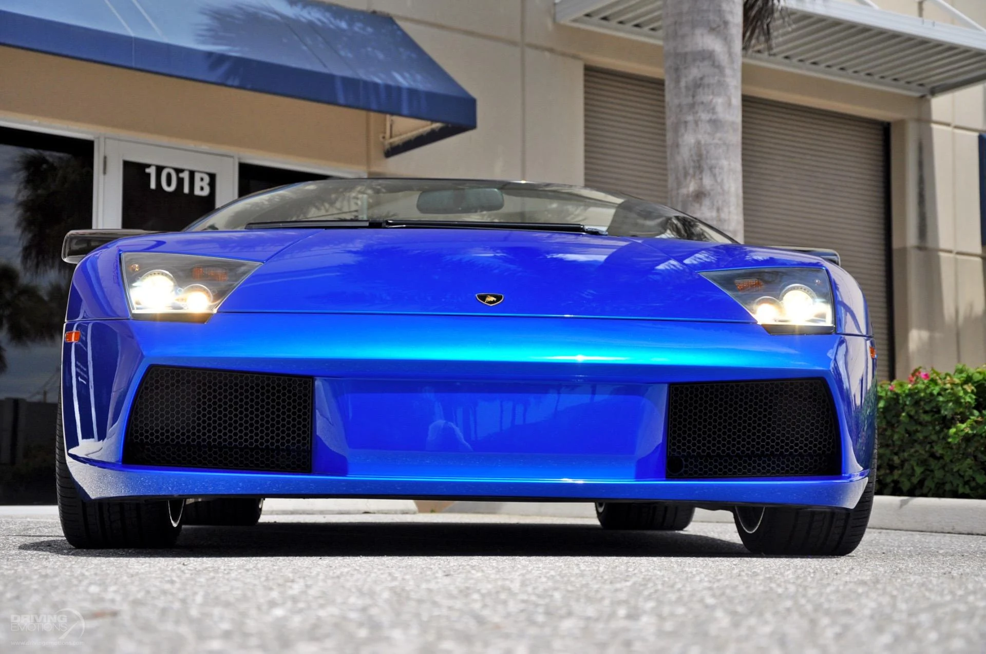 mph050_1606987707_325_p51_l_857486de2e