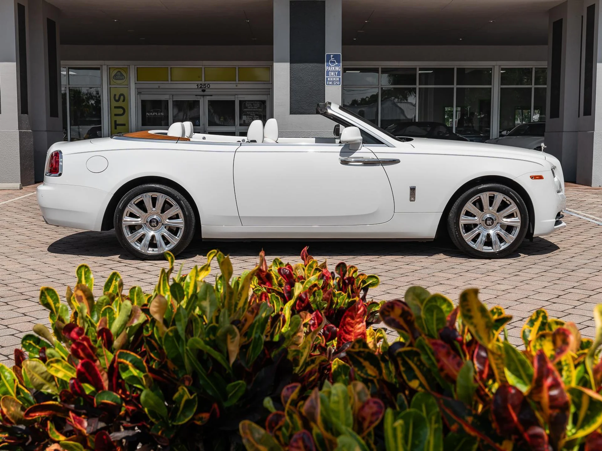 mph050_1743771983_Used_2016_Rolls_Royce_Dawn_2dr_Convertible_1782414126_25986f99fb