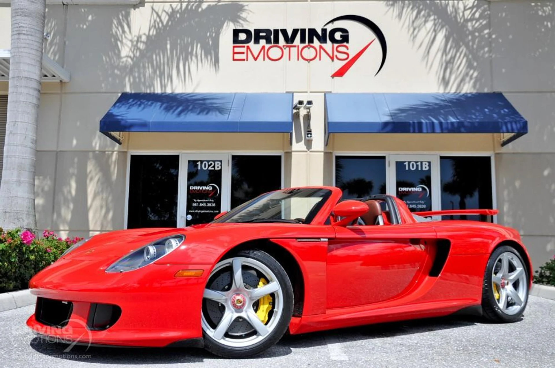 mph050_1775001944_186_p51_l_25bab526b9