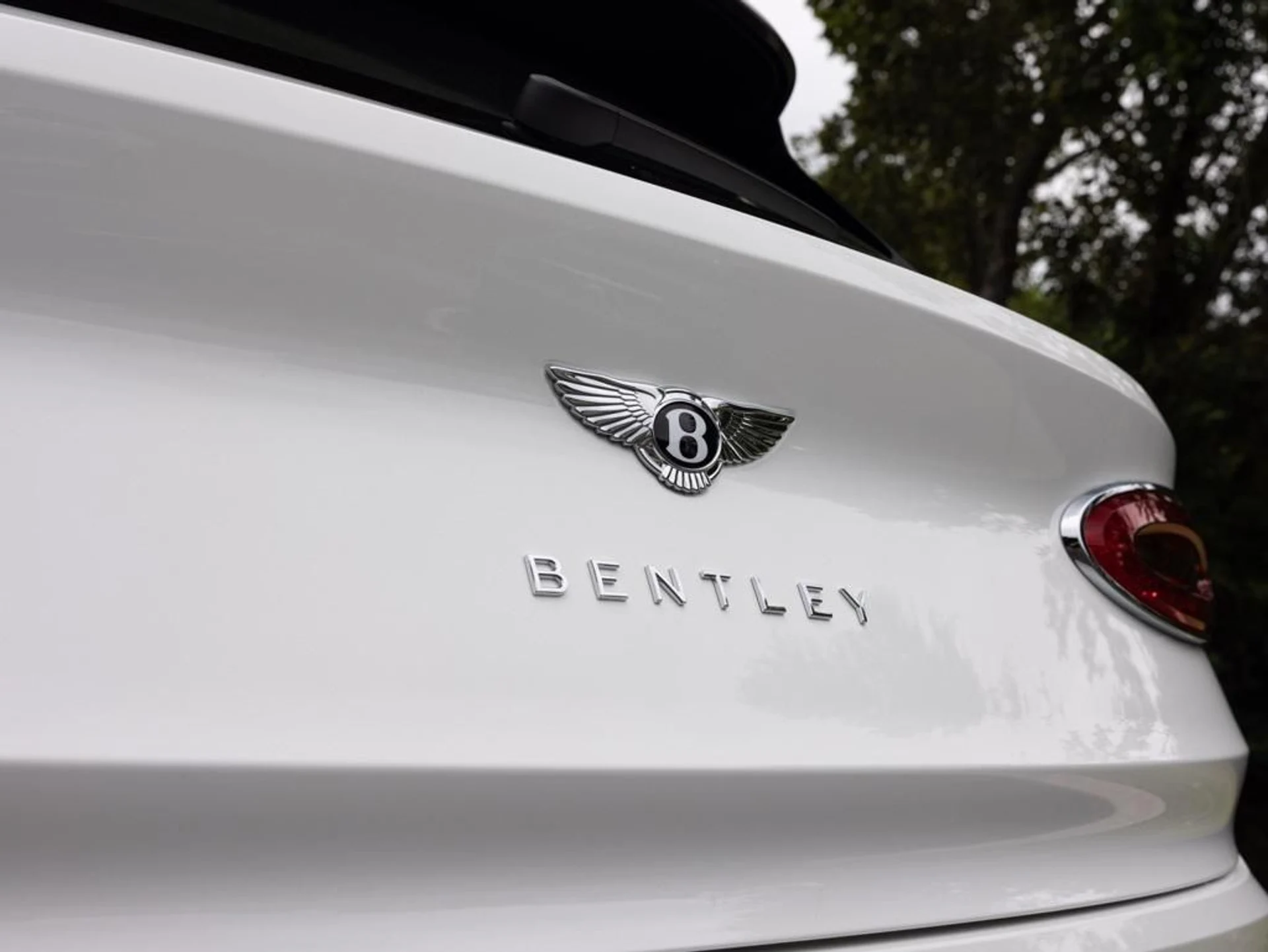 mph050_1863618813_444557824_688defb1b8367c48735ada1b_9572d89450