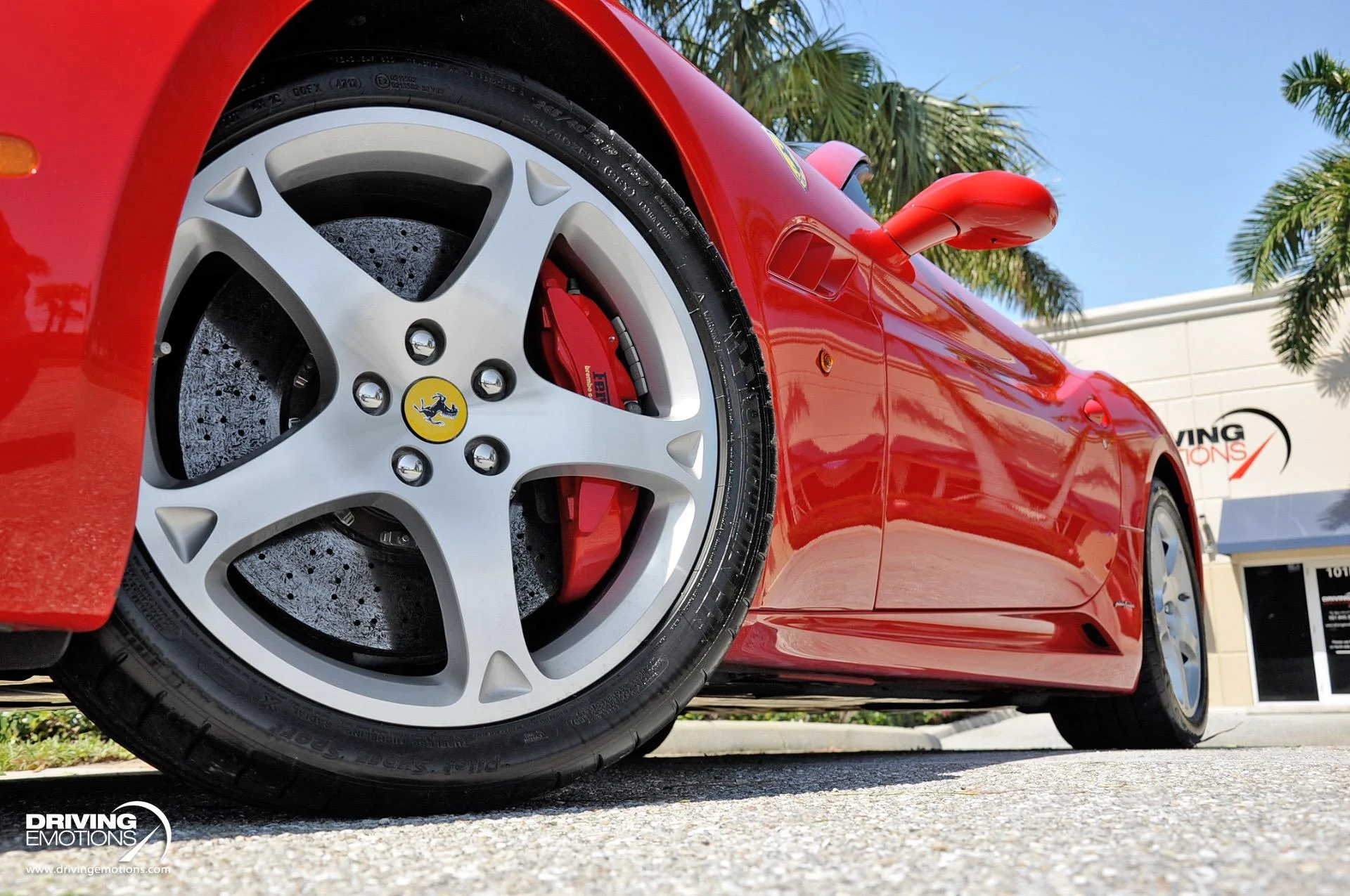 mph050_1872298823_505_p51_l_846898d086