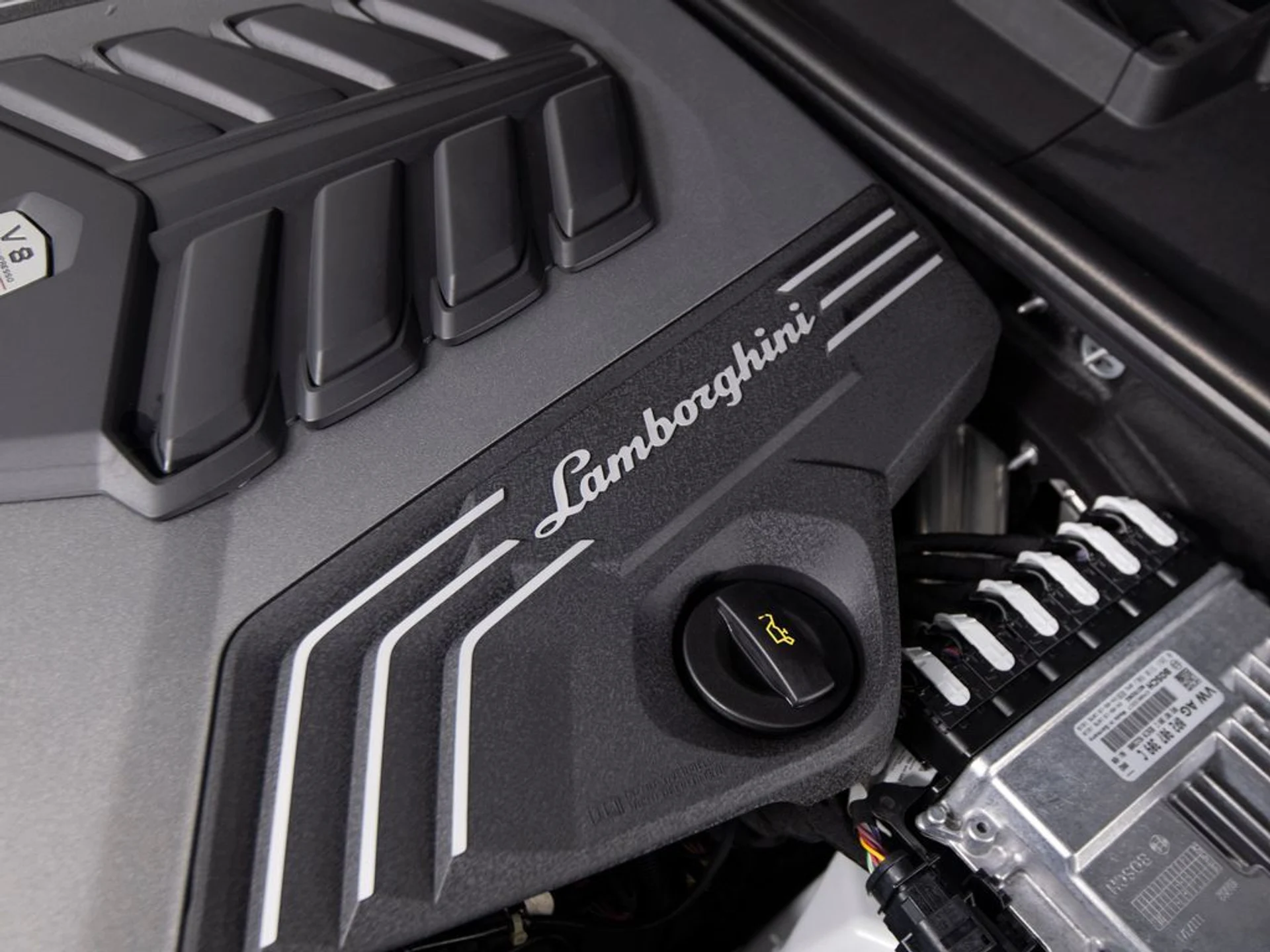 mph050_1873979857_14b8ddcc0726a15c9351e5b6a10a16fcx_3c6488525f