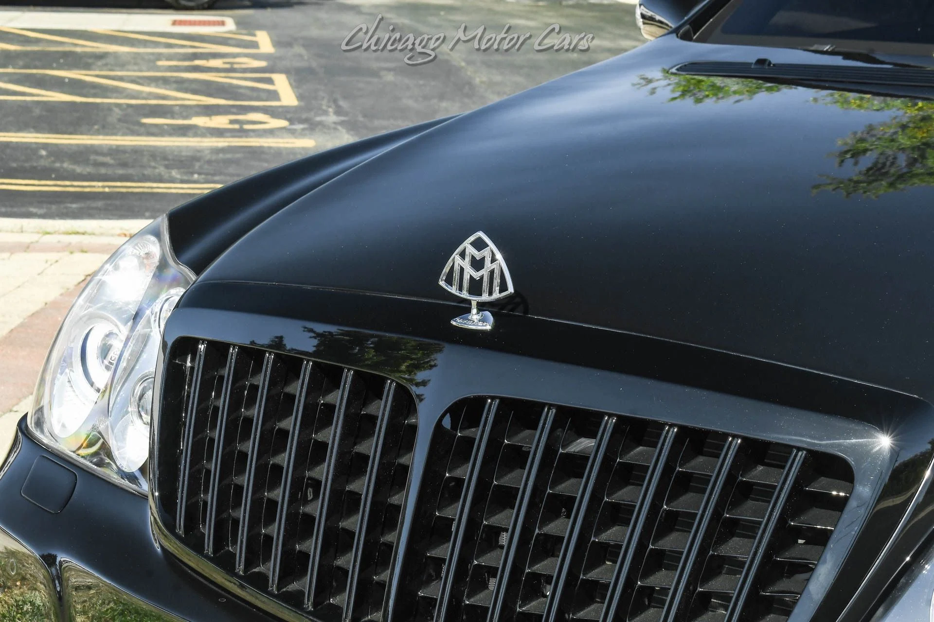 mph050_210393466_11544_p51_l_f10c8b5ee5