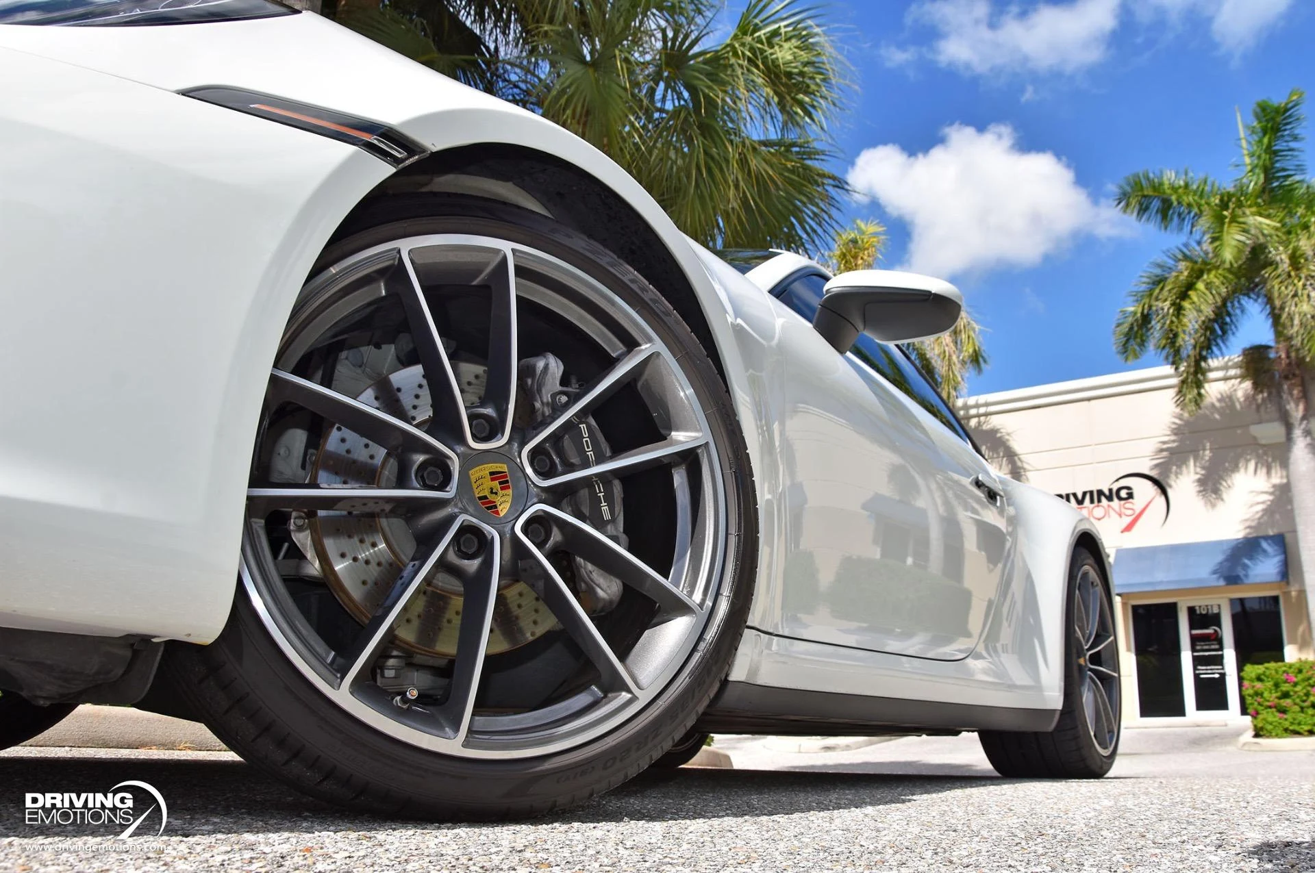 mph050_219762262_865_p51_l_fb1130adf4