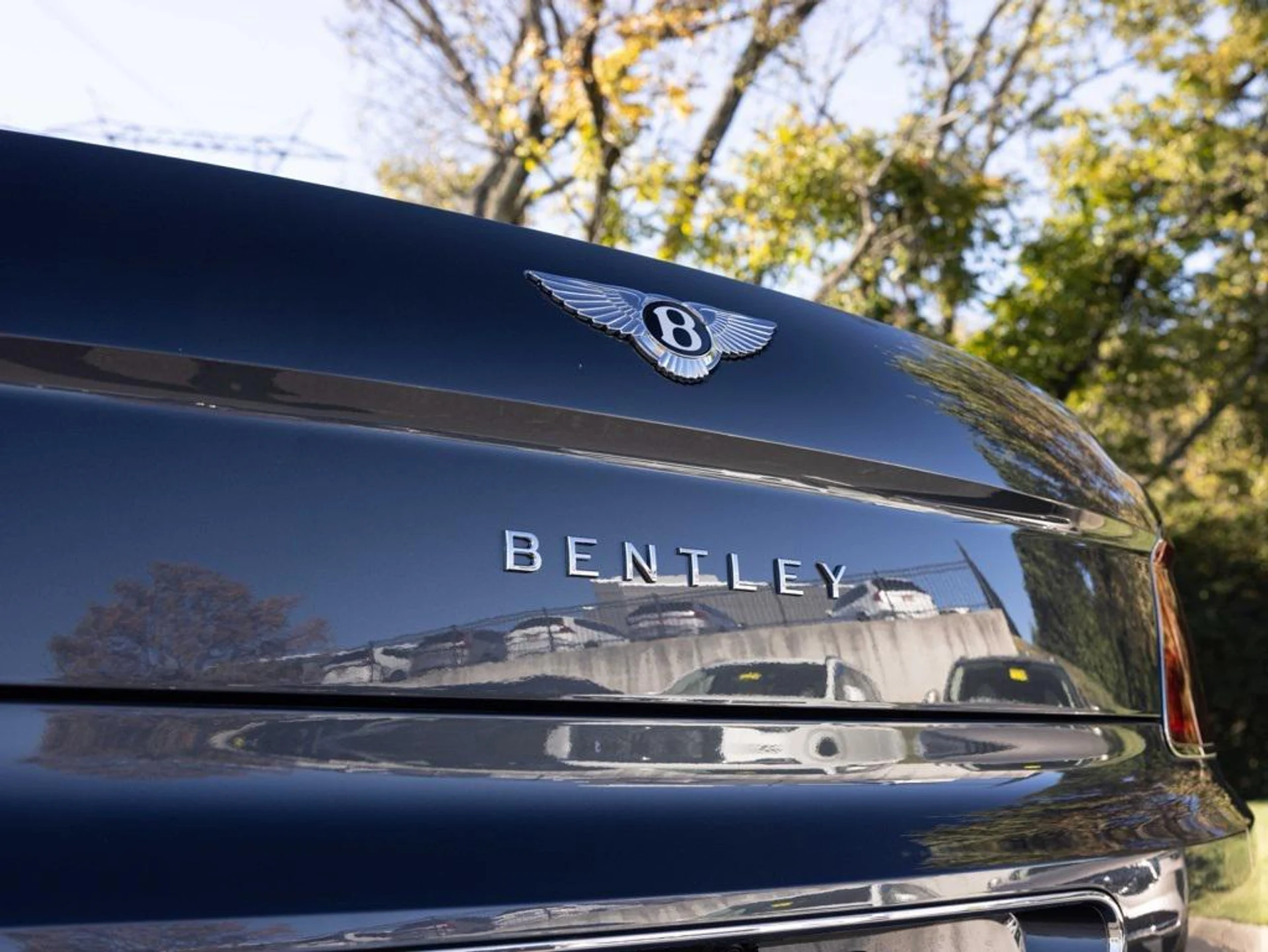 mph050_2476665939_471657911_690a42586f3f14244e02b1d0_62bd8eb643