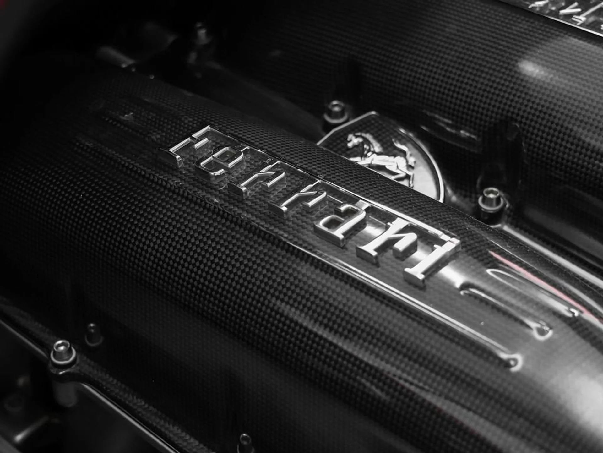 mph050_2542601014_51_5cb6a43d26