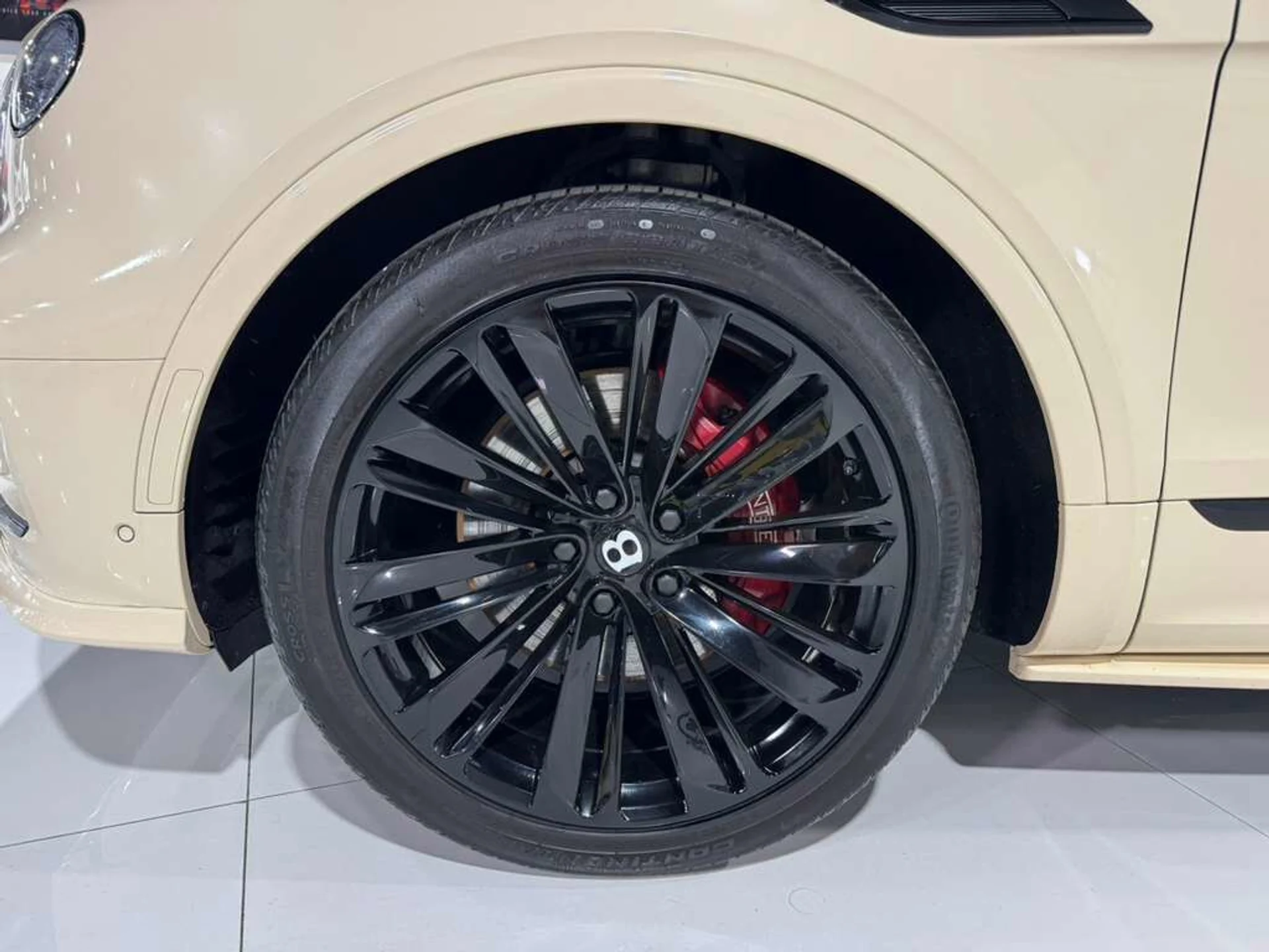 mph050_2543850221_aec881d41f693c49b088ac0f761d9e91_d22a86b61c