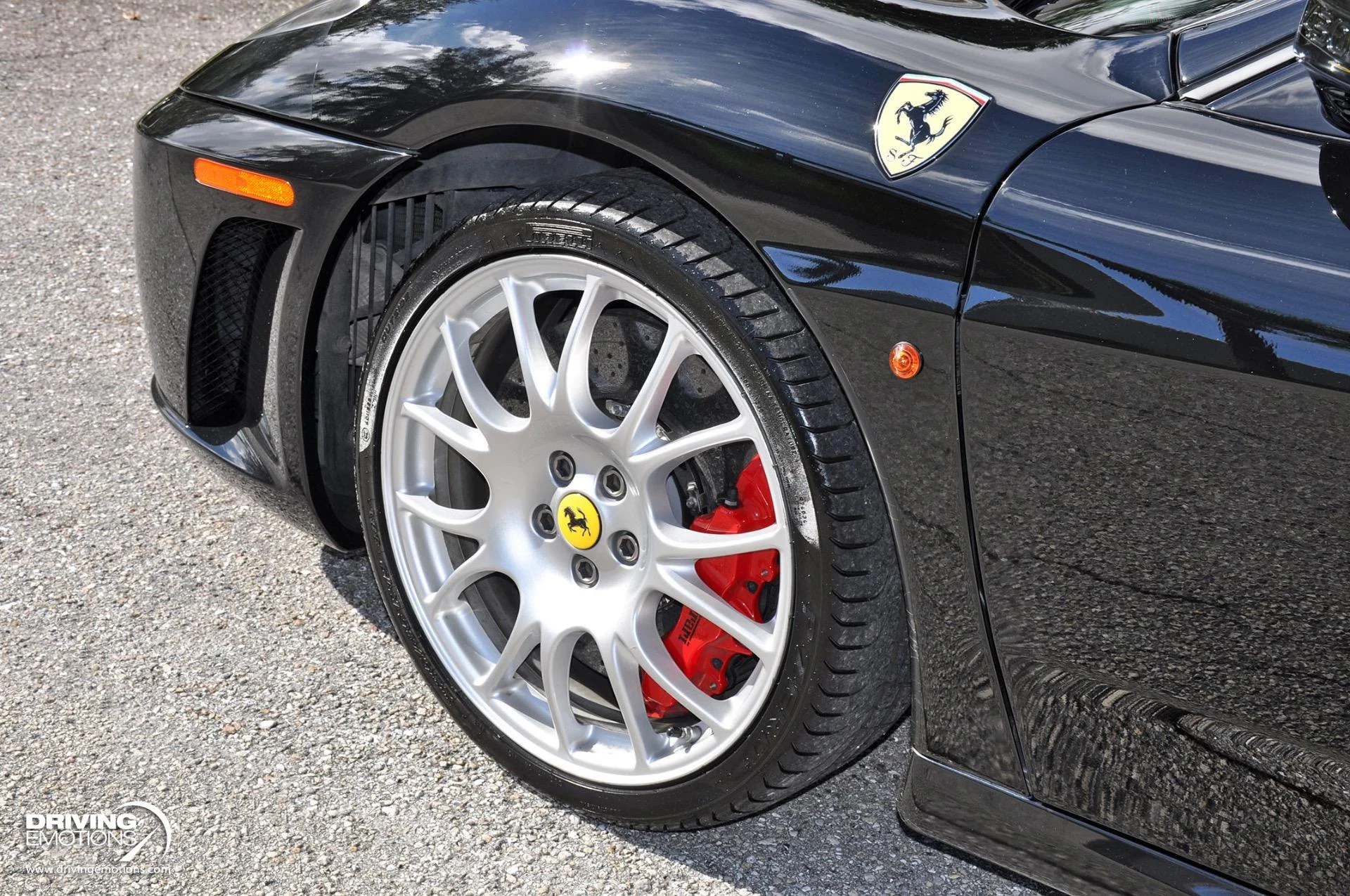 mph050_2576581404_885_p51_l_670bd06f0c