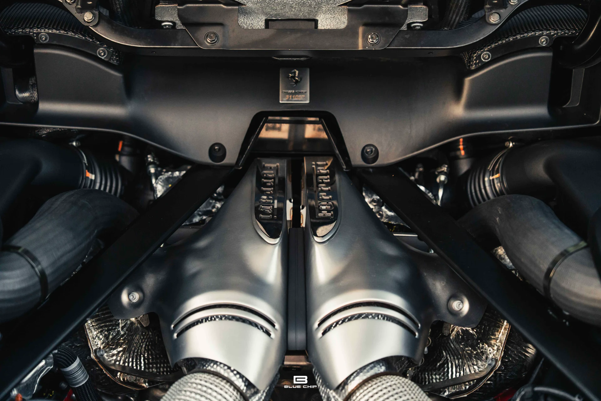 mph050_2885341499_690e15a0ed30c47ef0758473_DSC_08388_1016362126