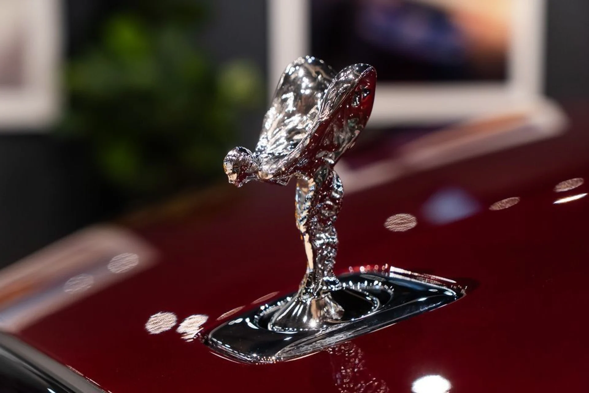 mph050_3302653835_12493bfe9ff0534c11693aacdb97d9c1_0b2c2ebe20