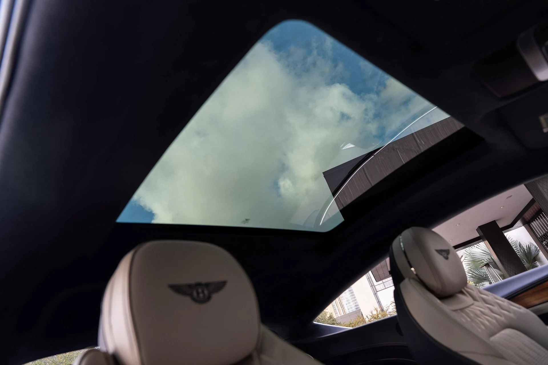 mph050_3468815450_470961998_691ded147425967942f2feeb_8ce057d2d0