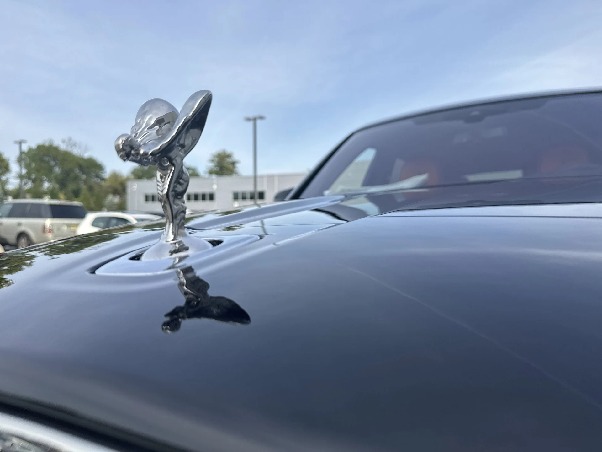 mph050_3473193155_9ee9ca1a8f357cbd486ad351eccc8b54x_d2cac5d780