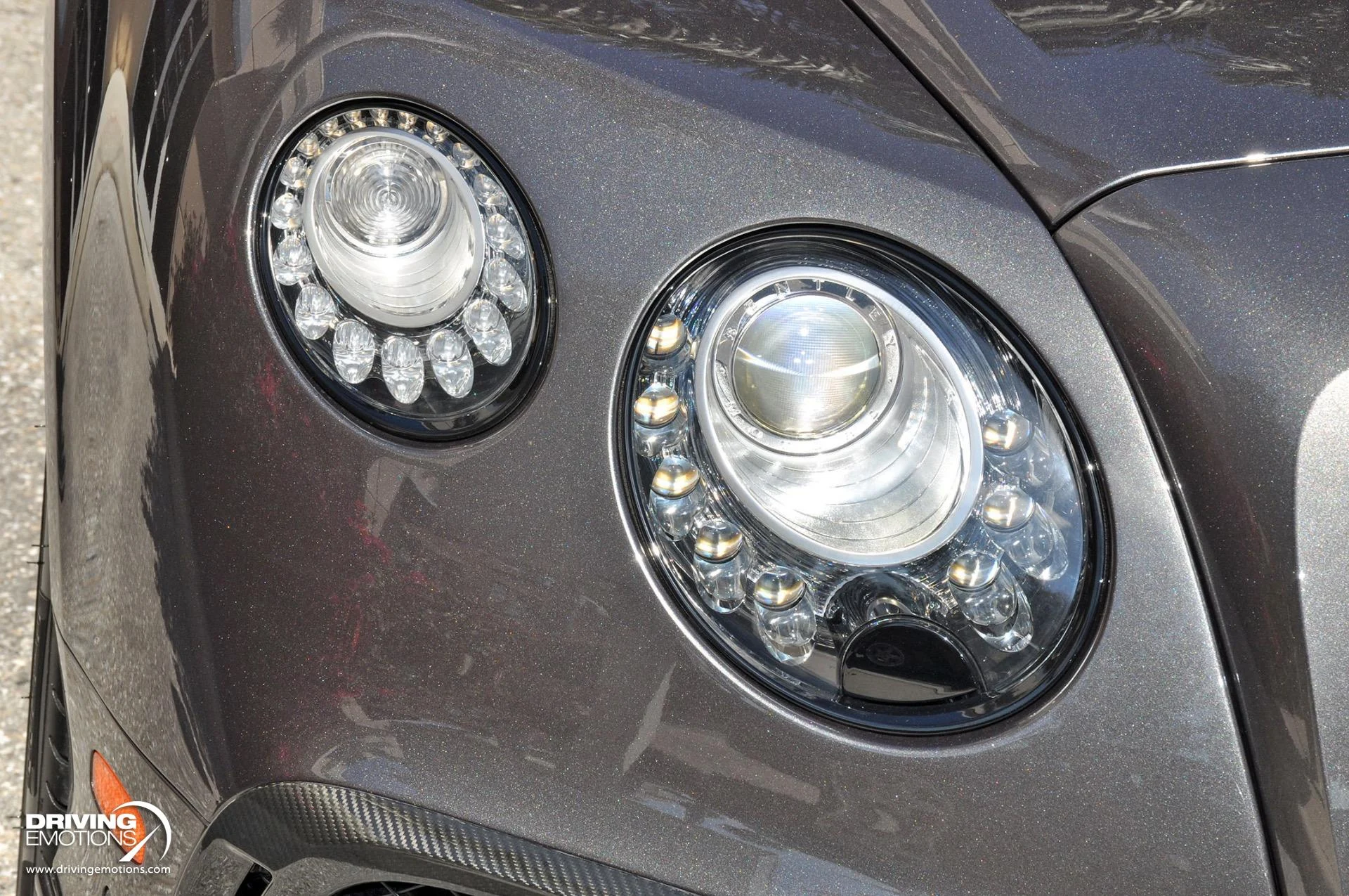 mph050_3593309815_891_p51_l_e875e13510