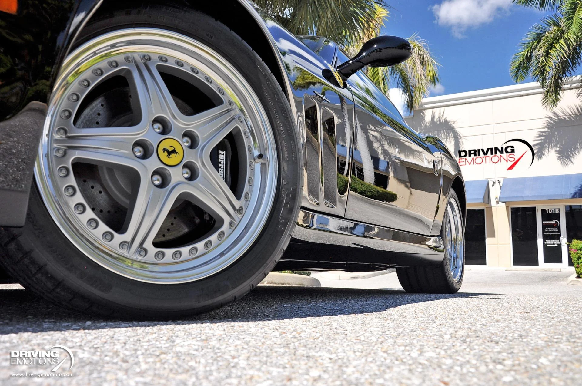 mph050_3679121915_284_p51_l_8de044c4af