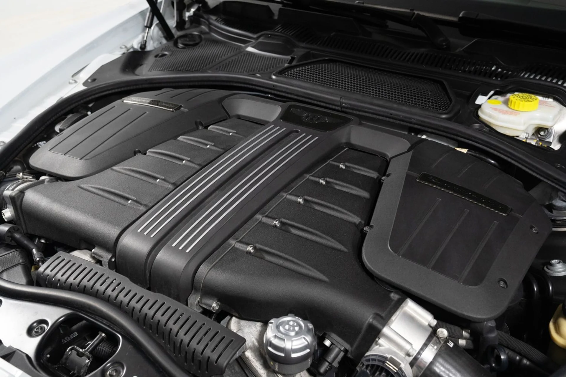 mph050_3759572922_3815cb08c161469c8738fae88c45c6aa_793f658002