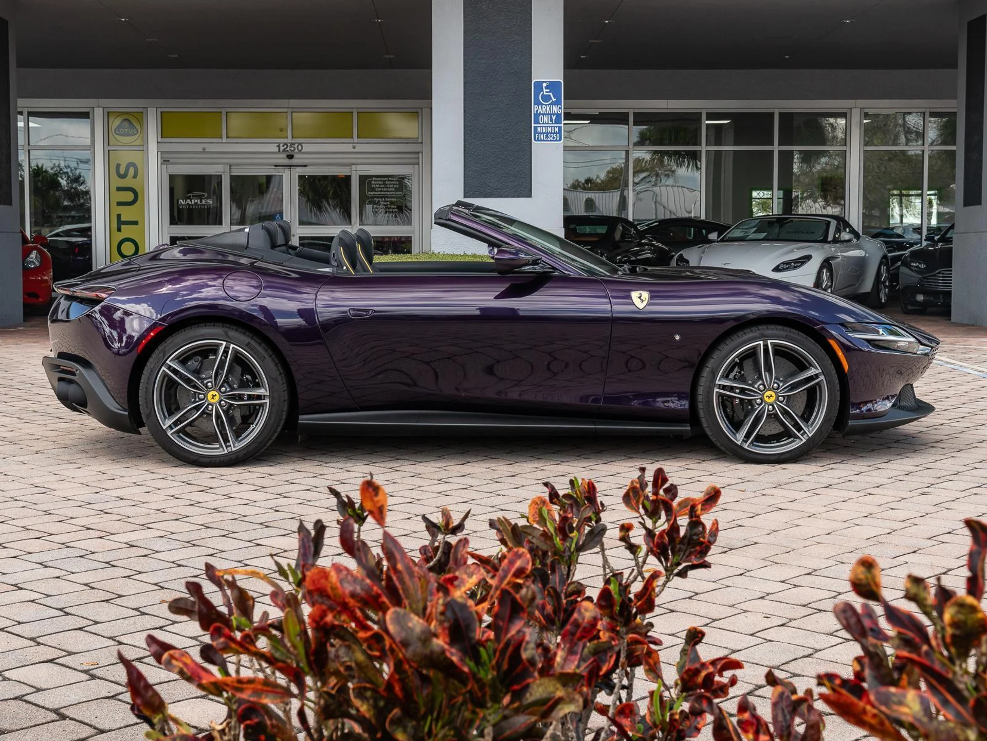 mph050_3814305267_Used_2025_Ferrari_Roma_Spider_Convertible_1772576633_a91b4fba6d