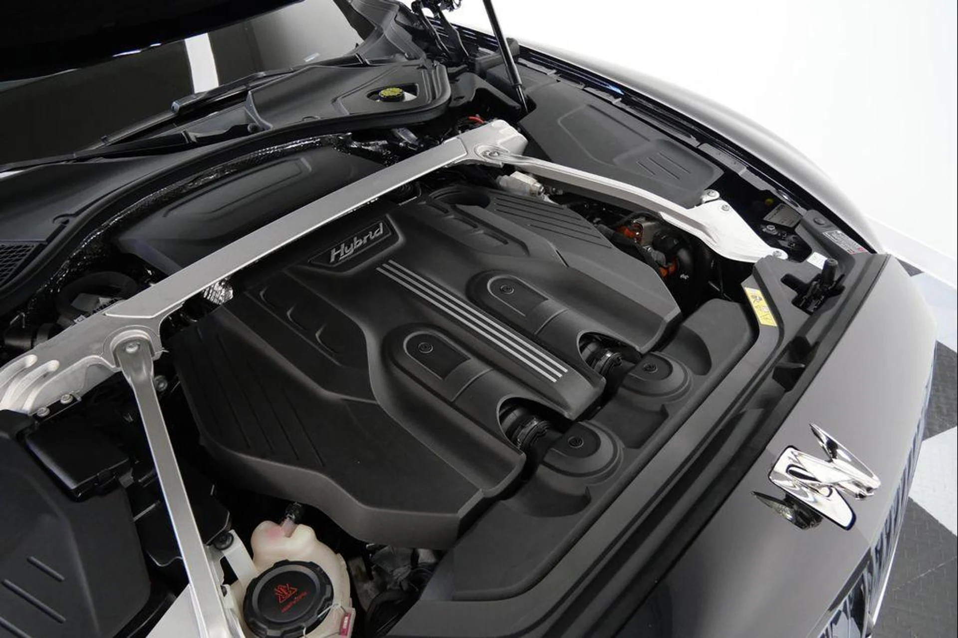 mph050_4099643929_c6_I_Flv_Dk8_Ro5p_DI_Kalj1m2_Y_Mn_NE_6220b1df44