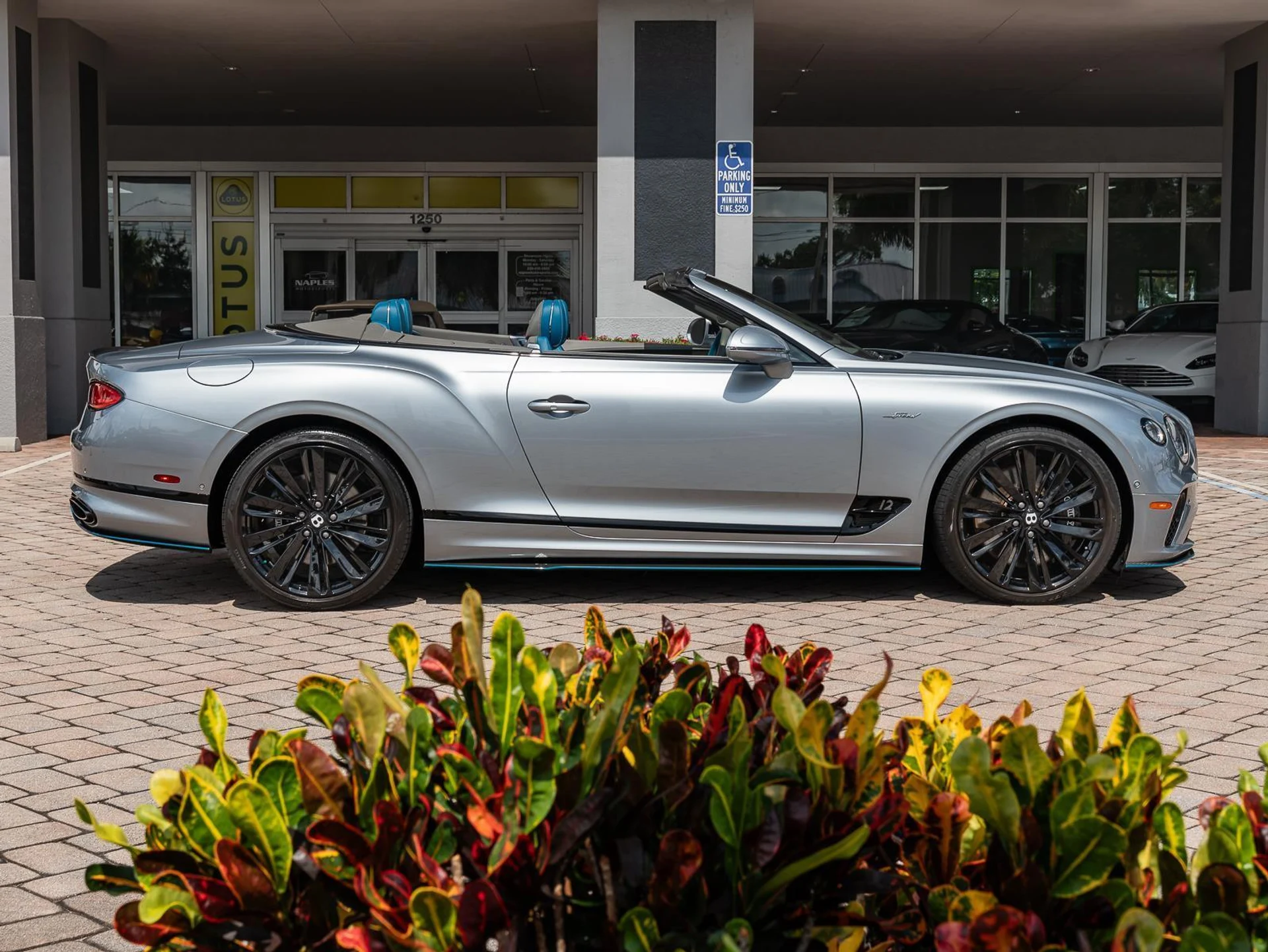 mph050_444206440_Used_2022_Bentley_Continental_GT_Speed_1783026706_60212238ab
