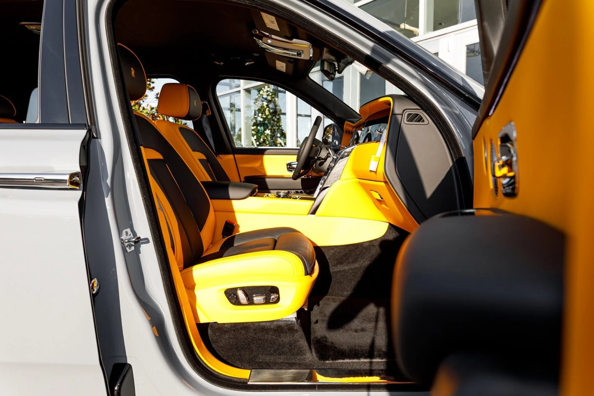 mph050_595036447_0277c40c2c962a840db45ba23be49970x_2d1f3a11fd