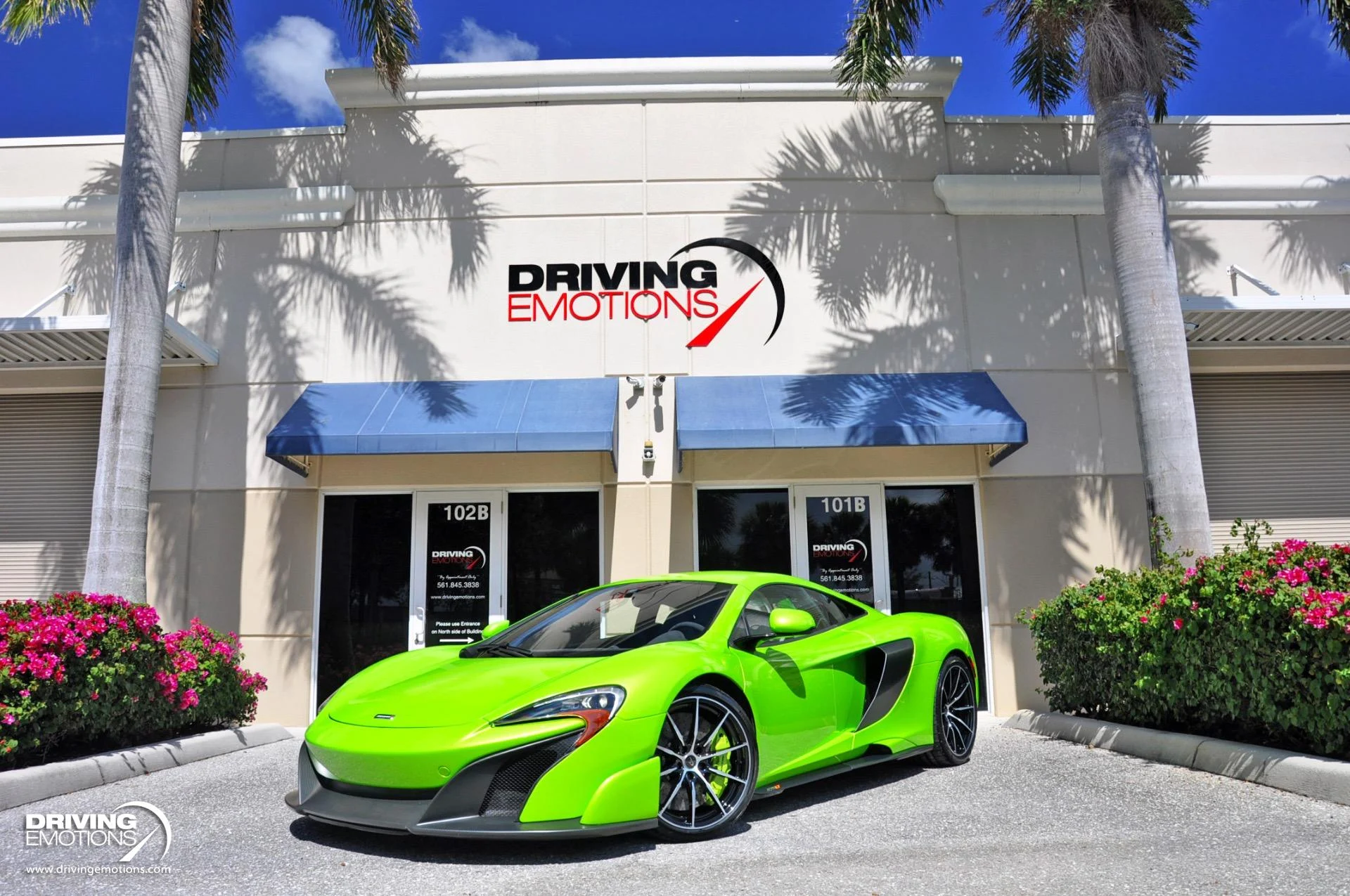 mph050_59771408_855_p51_l_8568281f4d