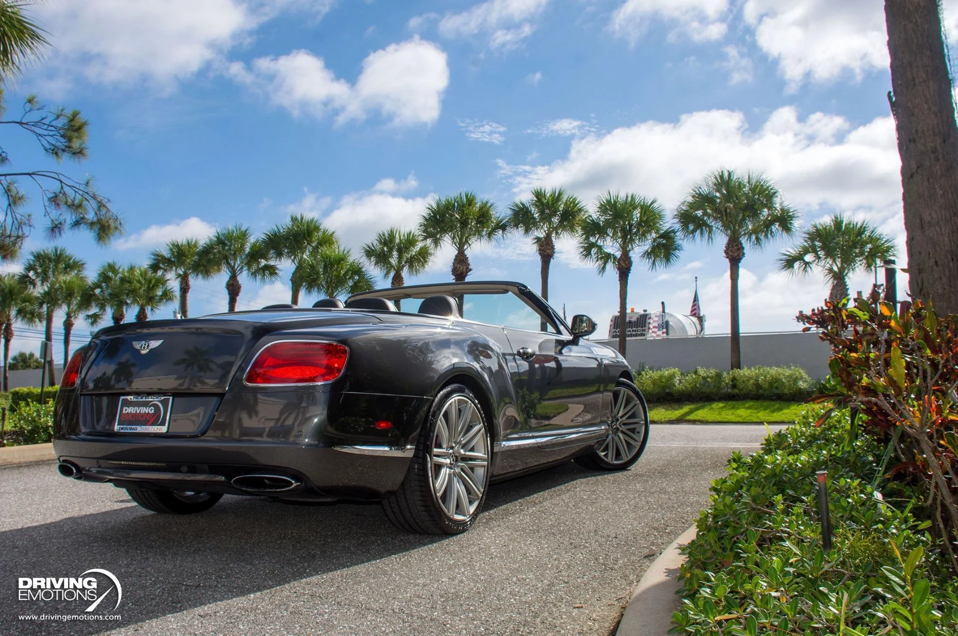 mph050_985310076_871_p51_l_25cc691f60