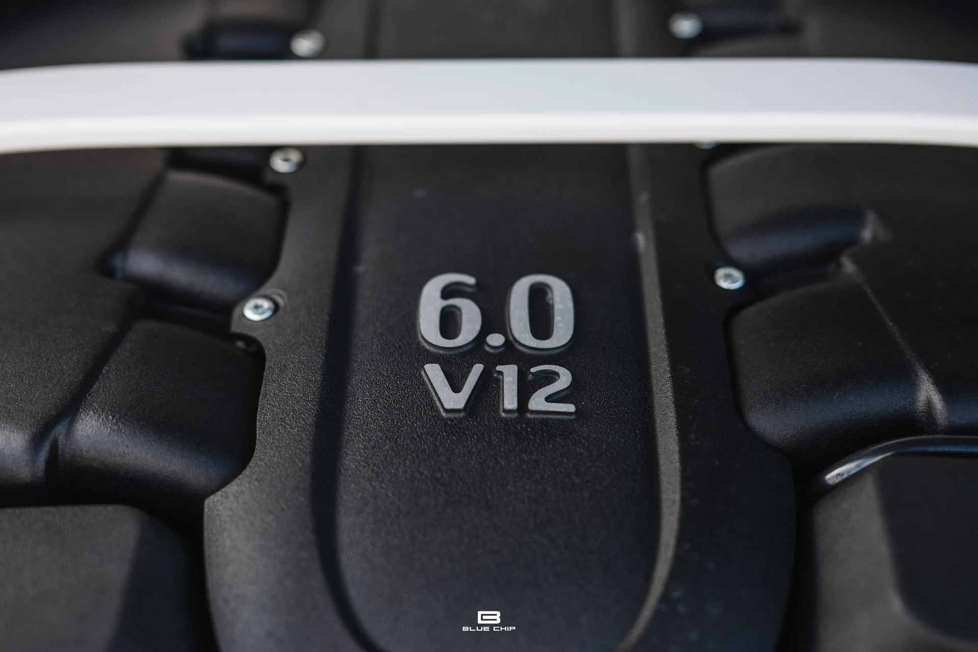 mph051_140032509_69c2dceb15edf561cefb6865_DSC_8120_0e12149676