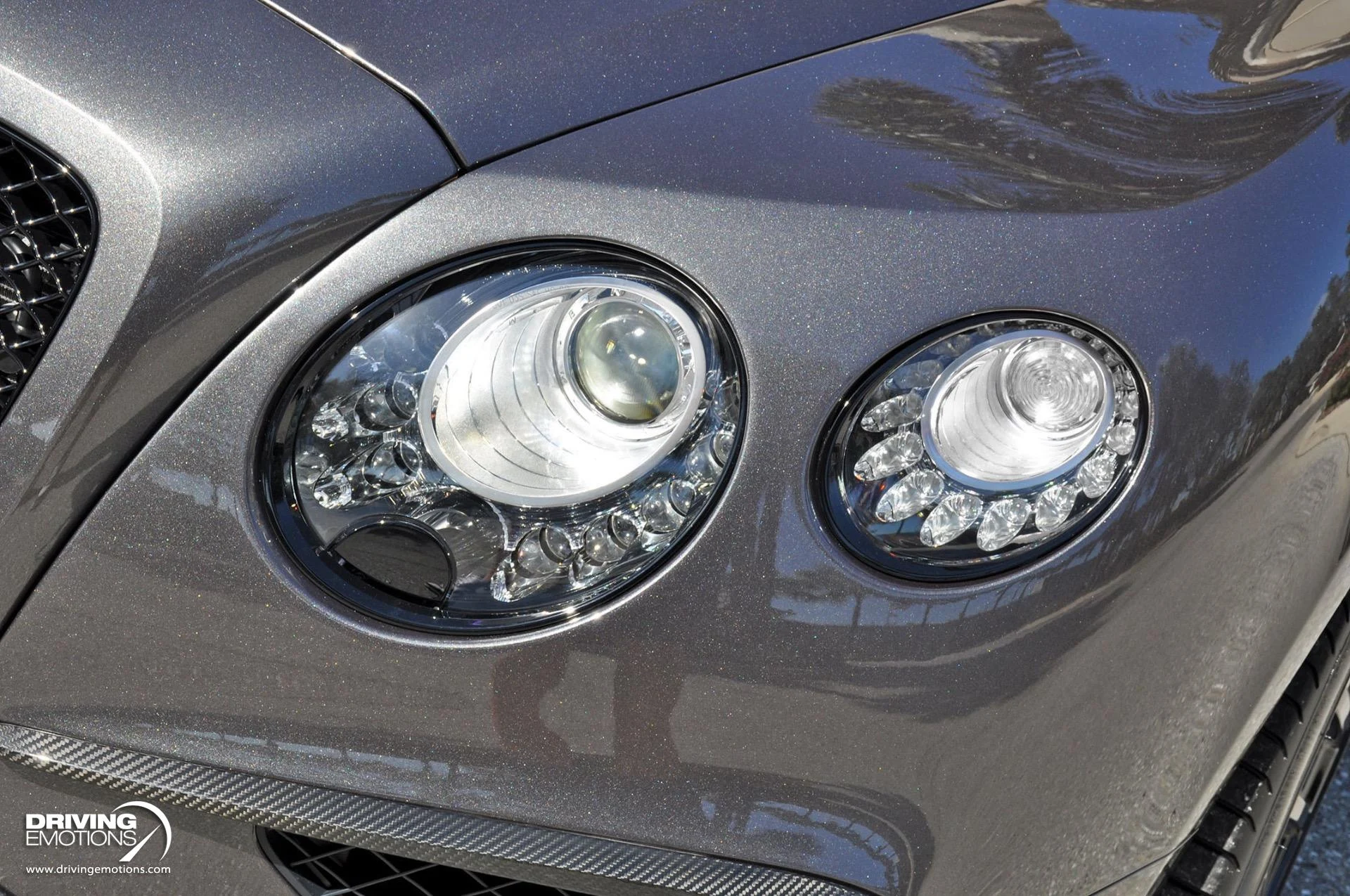 mph051_1735041417_891_p52_l_250fc8ecc6