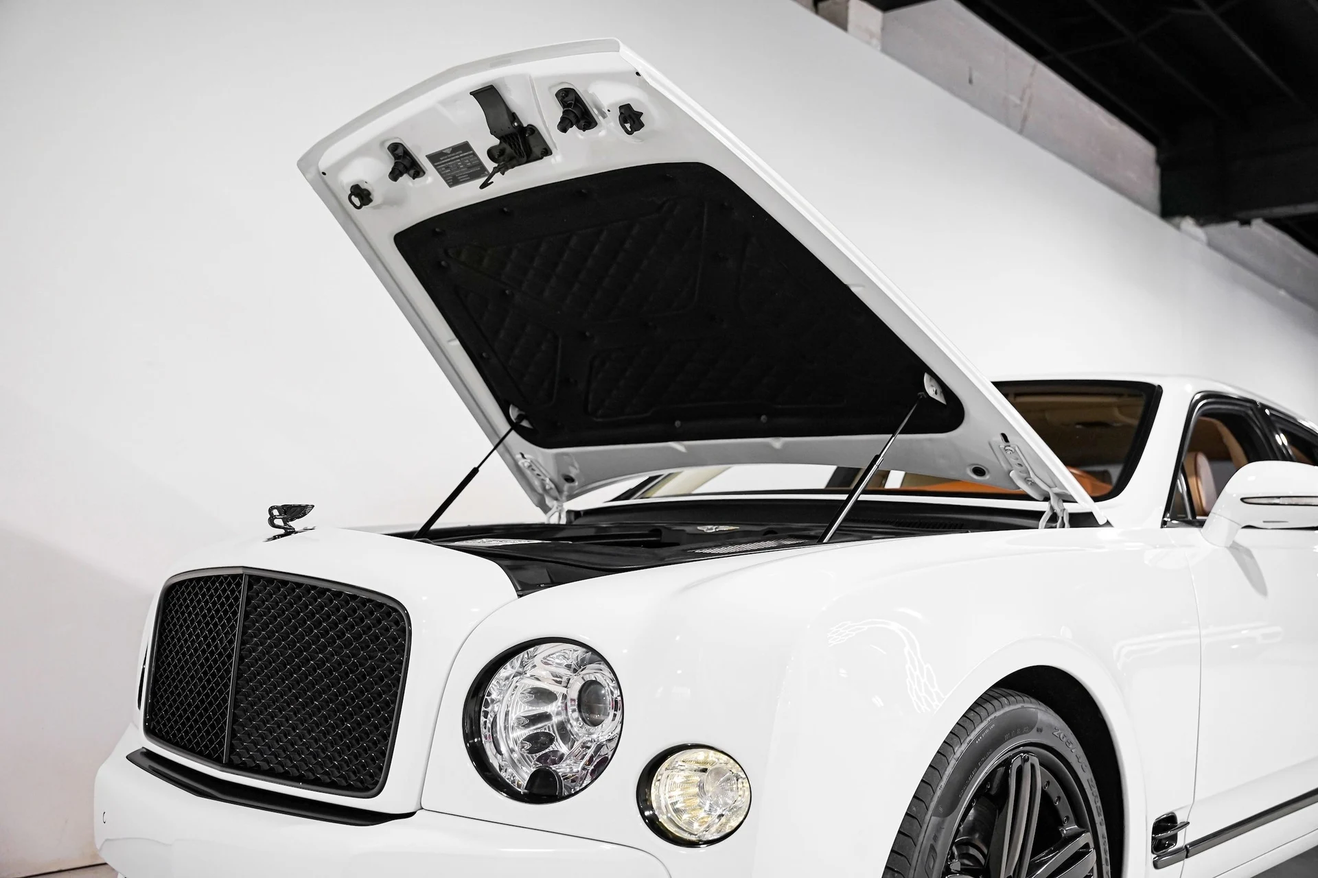 mph051_1831917841_80fa8ec7c9bf9cf8f6c238a99726b218x_fdf734832b