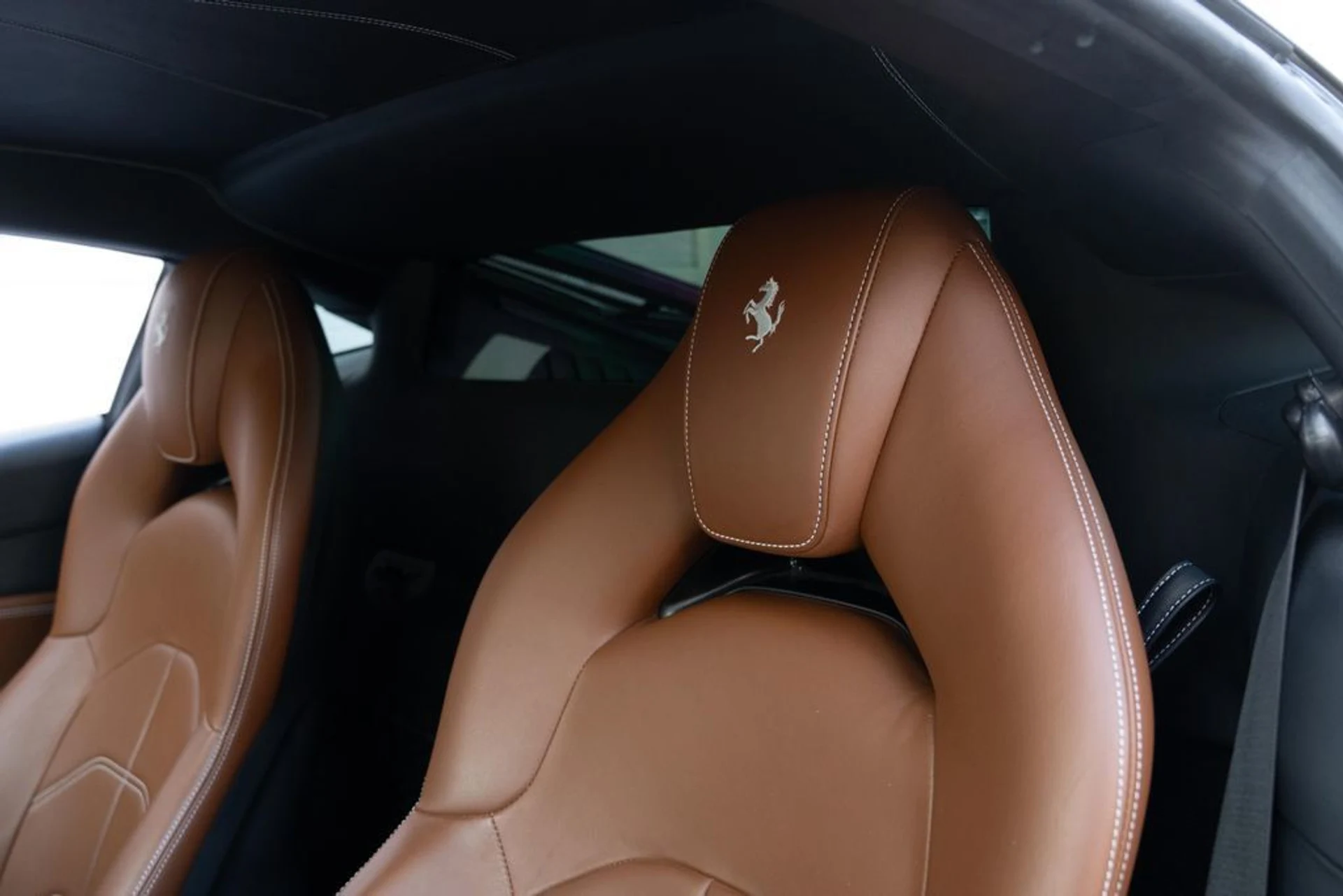 mph051_1852767769_974d905e4cb14bc6a53fb4810d3490fe_445e698492