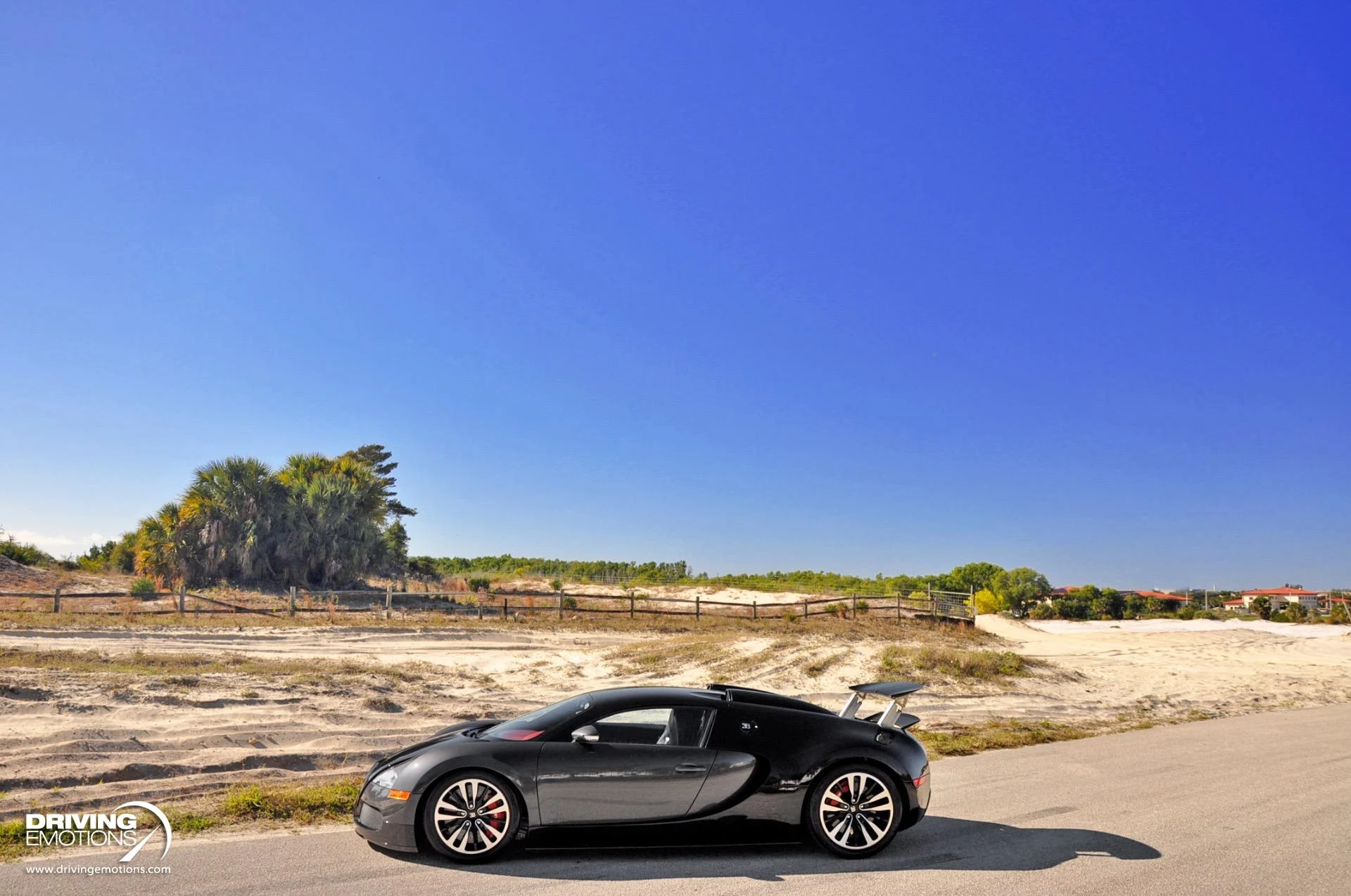 mph051_2710951857_479_p52_l_dbdd114c30