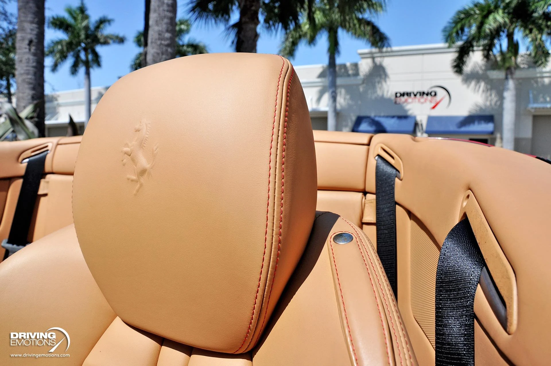 mph051_2872416497_505_p52_l_77ae14fdf7