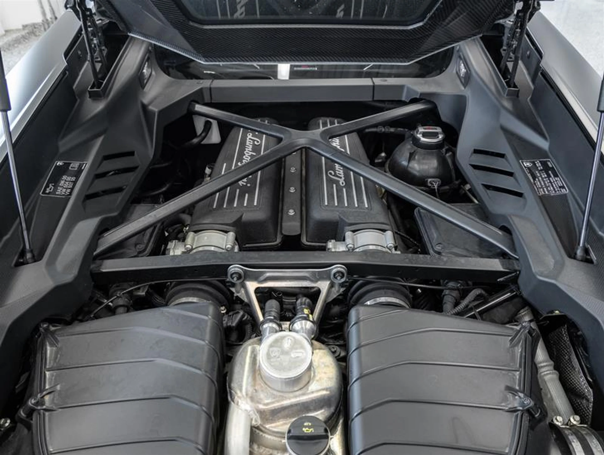 mph051_3115250116_11941252_1645412555_d73ee12f01