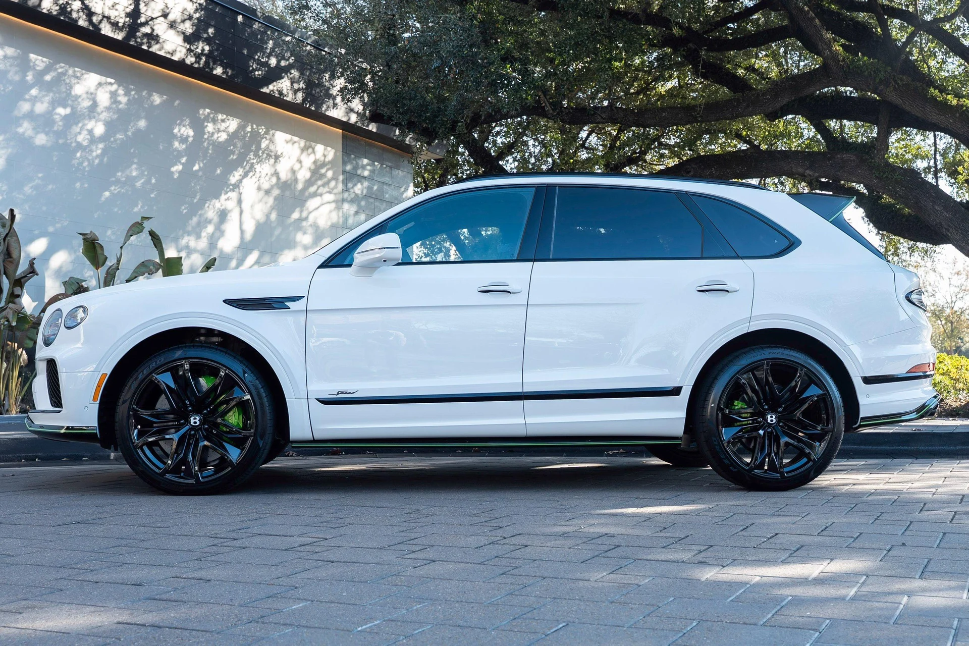 mph051_3185762306_478163256_698595c4752b933c324799da_1bcef49c24