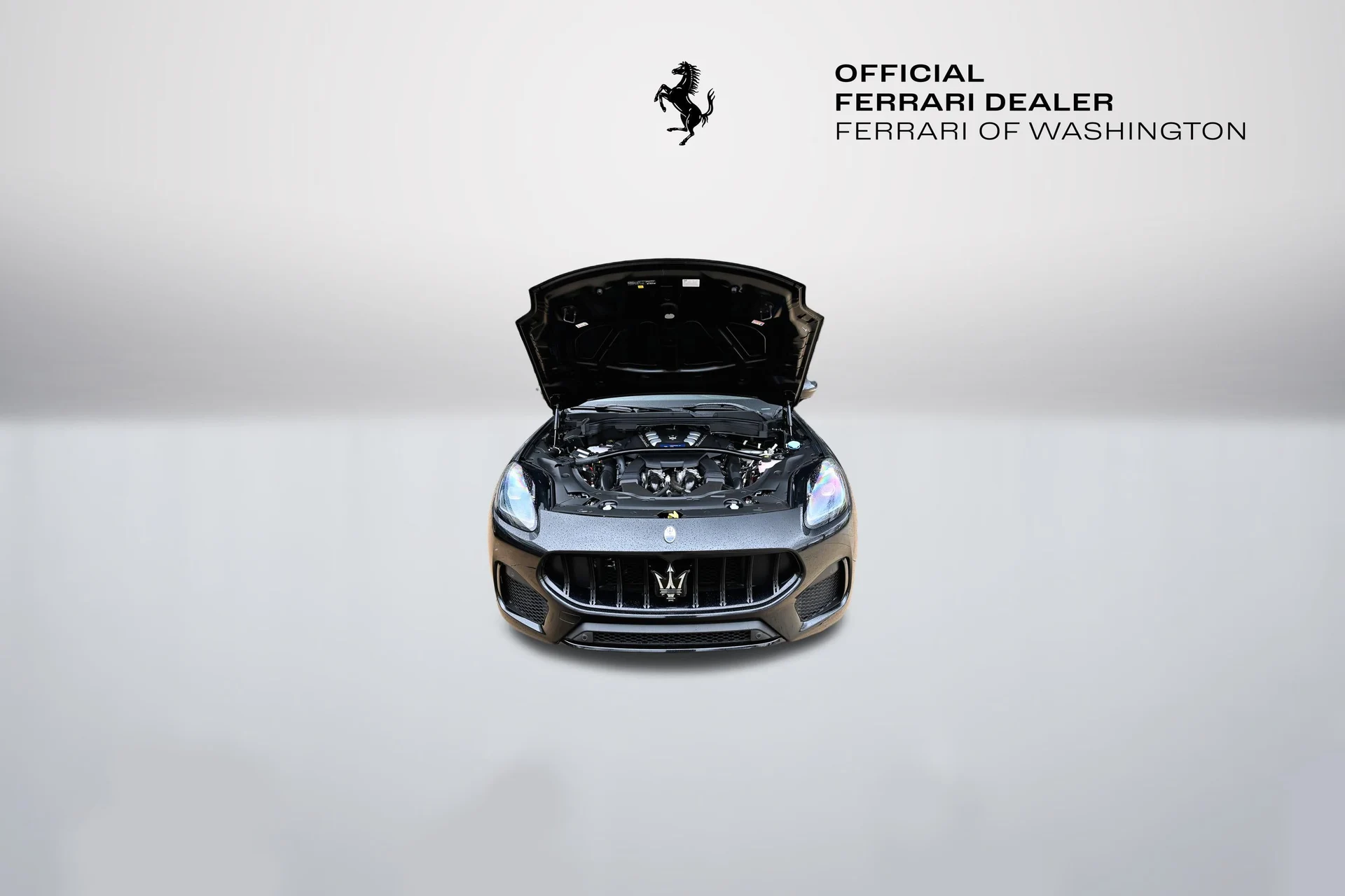 mph051_3414153112_621560fa56f444e3992ab607c9a1460a_a2f10fd30b