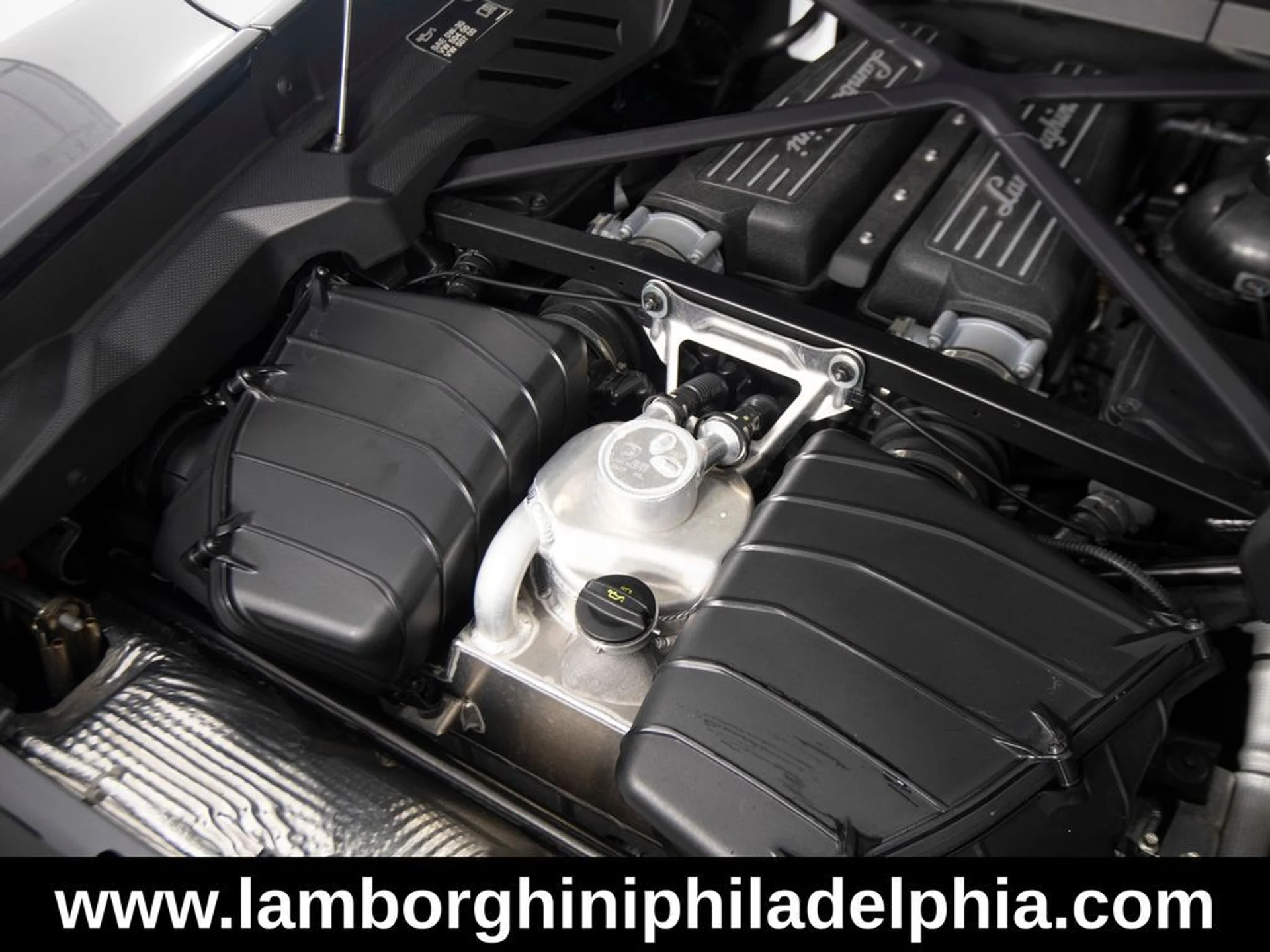 mph051_3476792921_a83a321fe56a431a1b2ea25b116a2600x_eda34ed653