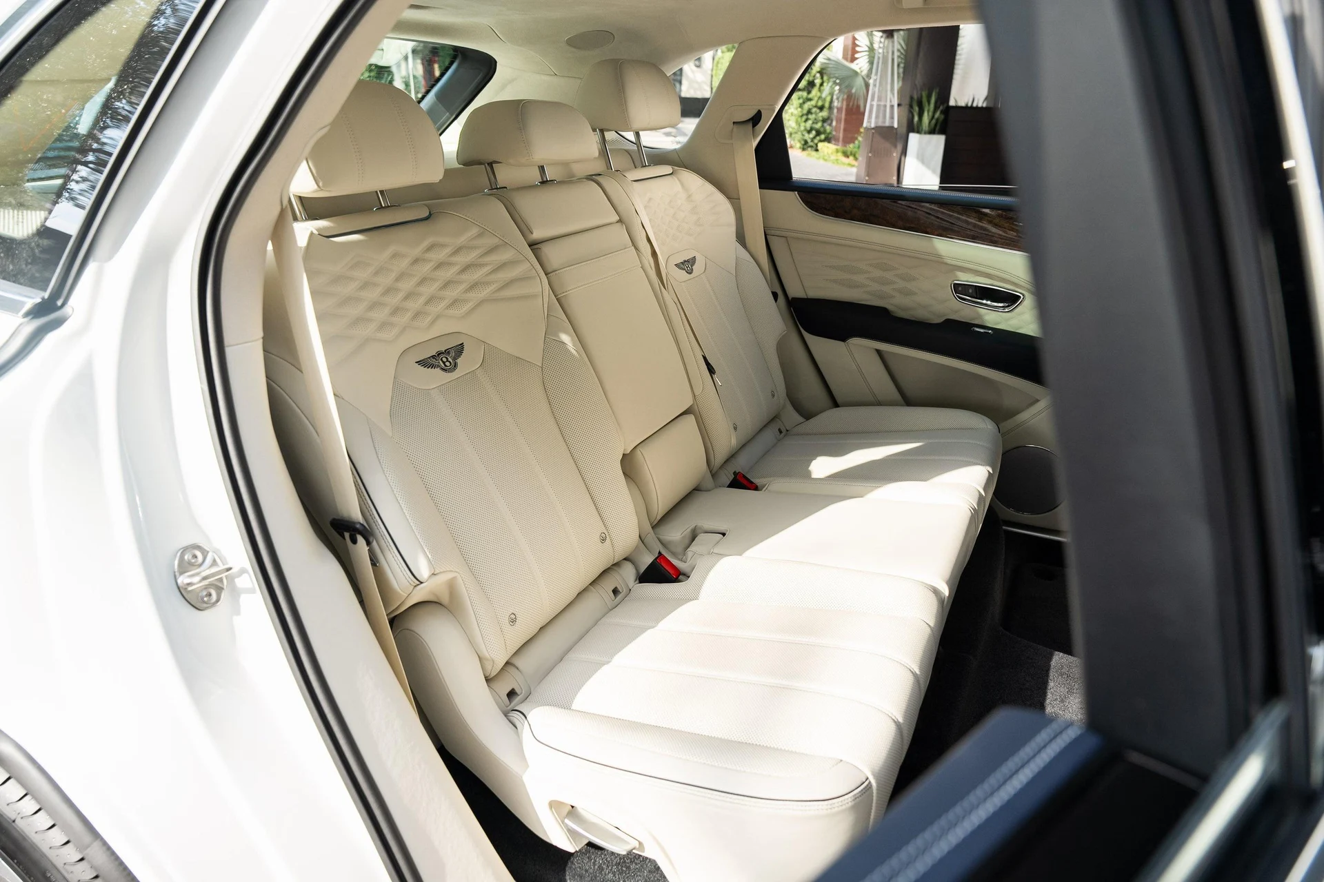 mph051_3574298688_389622358_677365c52b7a94b33fd41a76_f3d131c798