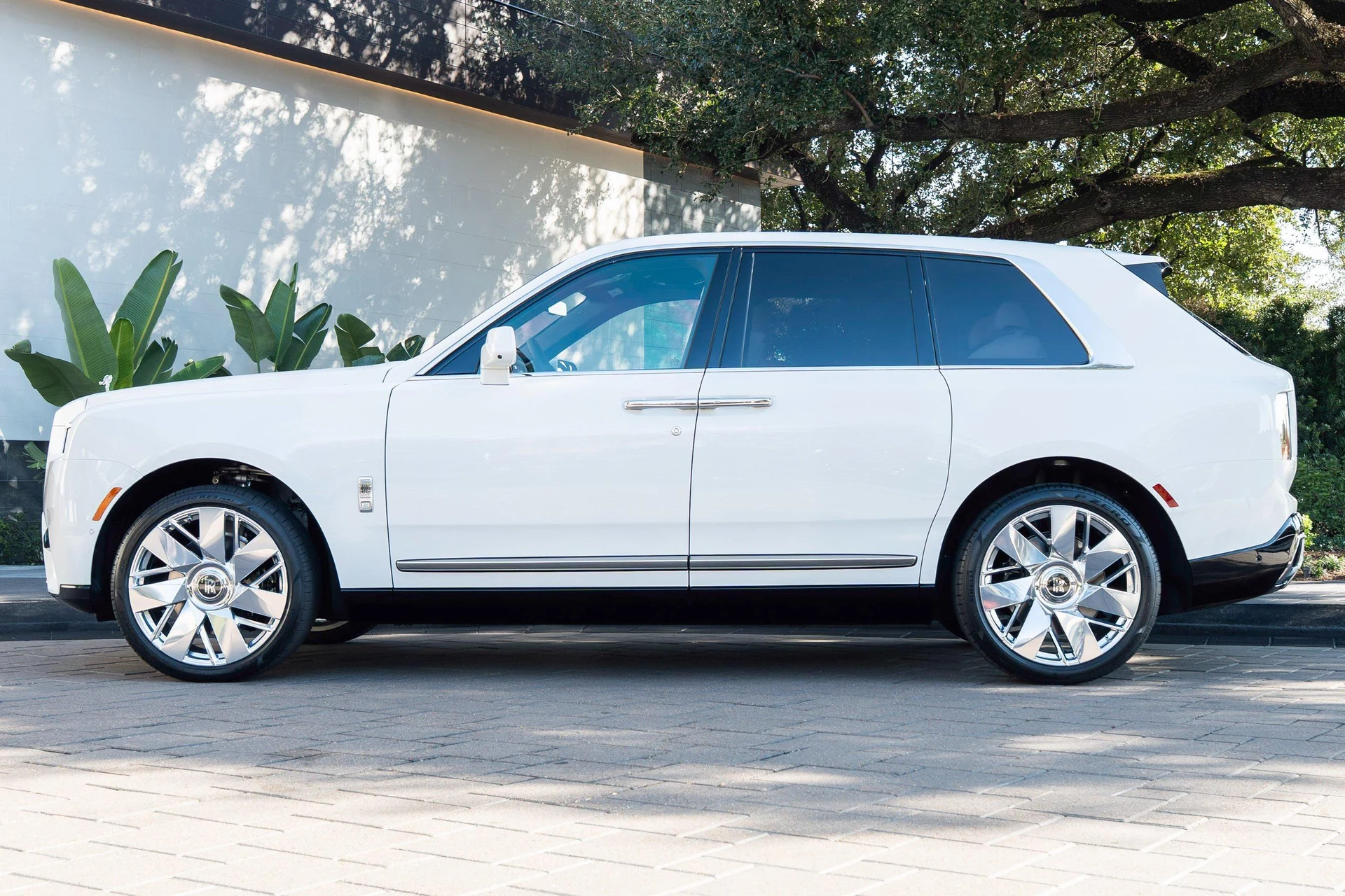 mph051_3799521837_476162068_695cc6db8f3ee920bf5188e8_d71ebb0211