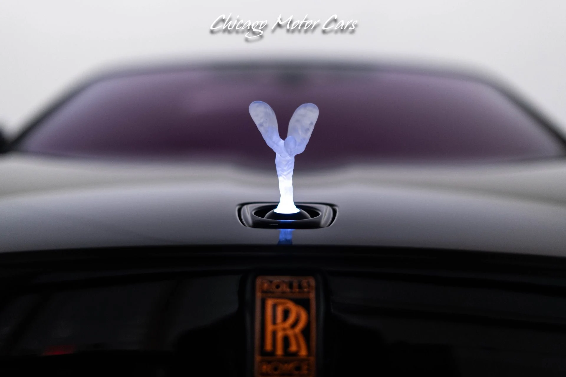 mph051_4190542843_12082_p52_l_ebc77a43fb