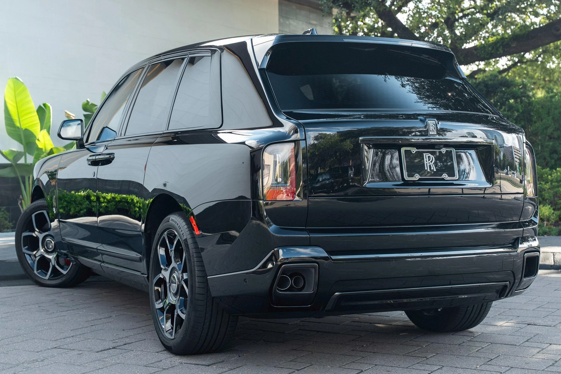 mph051_4234241418_444459225_695cc0e28f3ee920bf5186de_5cc468969c