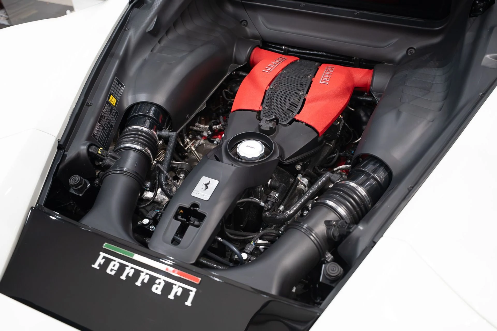 mph051_588391660_12549_p52_l_1e8e74d74e