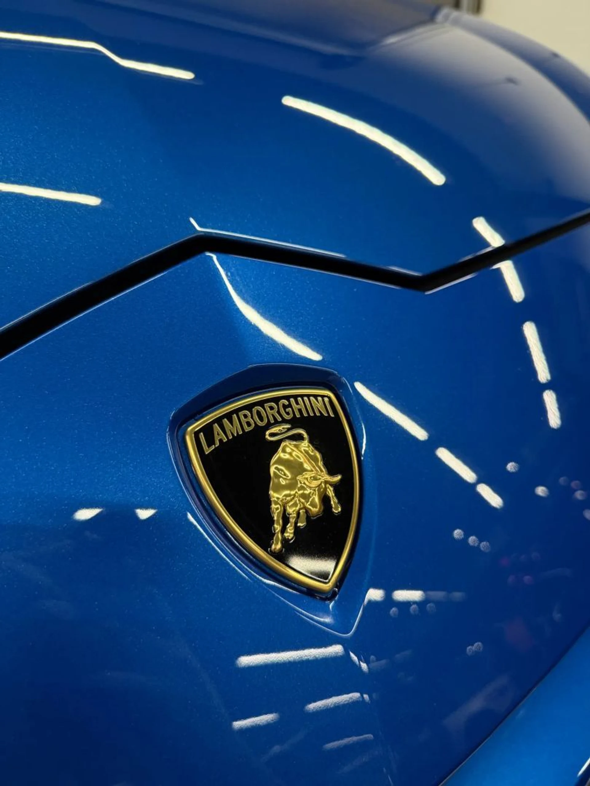 mph051_703385506_202601_79913b1f784c4152bc7820b667713ae2_3ad076d57a