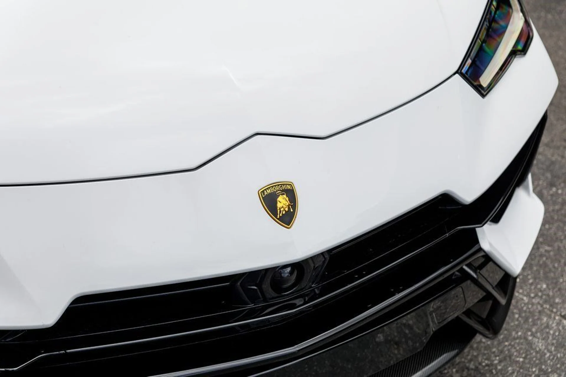 mph051_849066659_fdc16f22207f9633638cf2b5a74d04a5_31ed4d9ff9