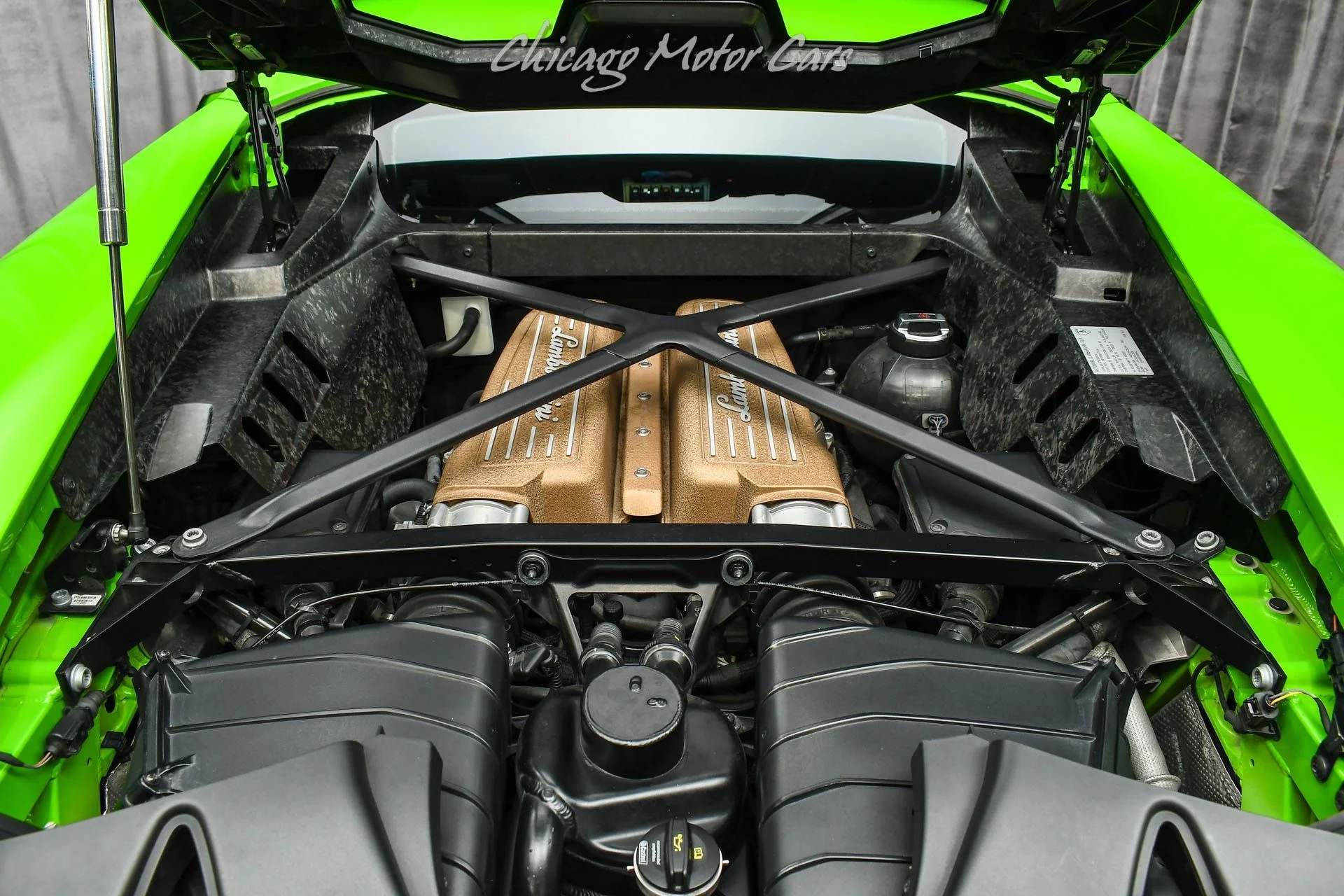 mph052_1077561259_9835_p53_l_9aaf556e5a