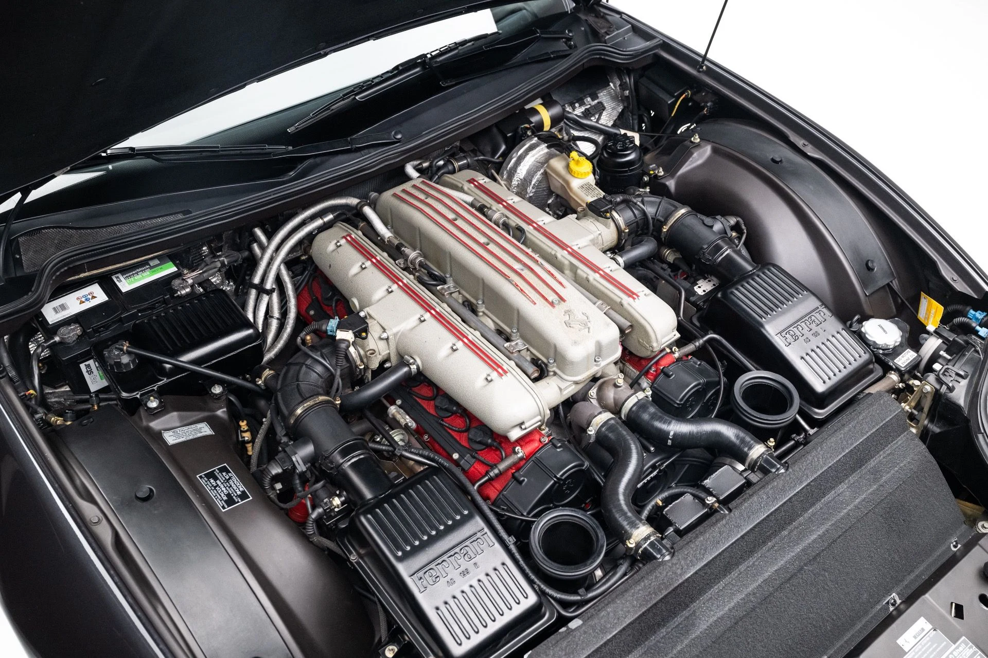 mph052_1111447185_11705_p53_l_91ef6d29d7