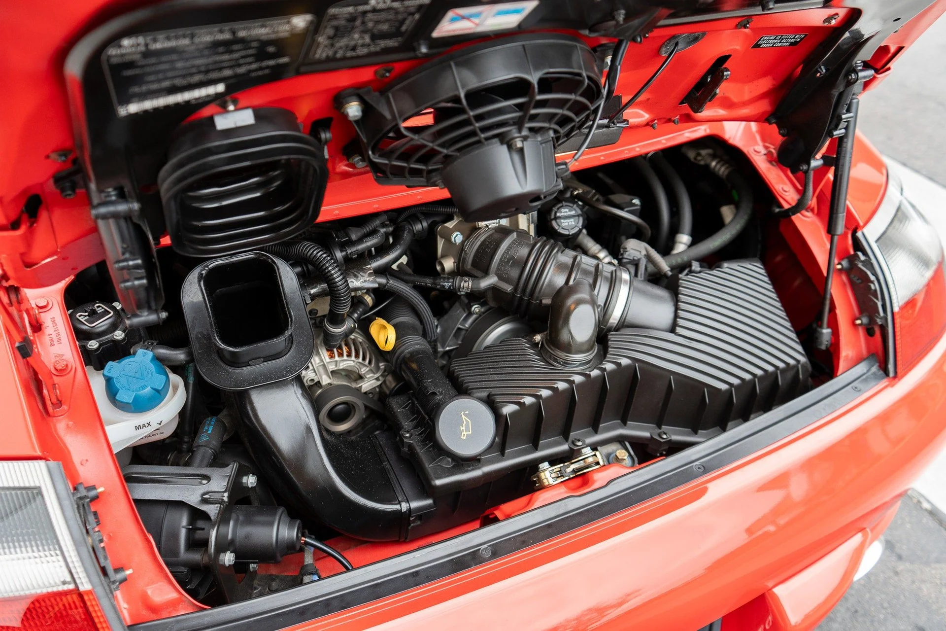 mph052_1819683036_53_b066a1cce1