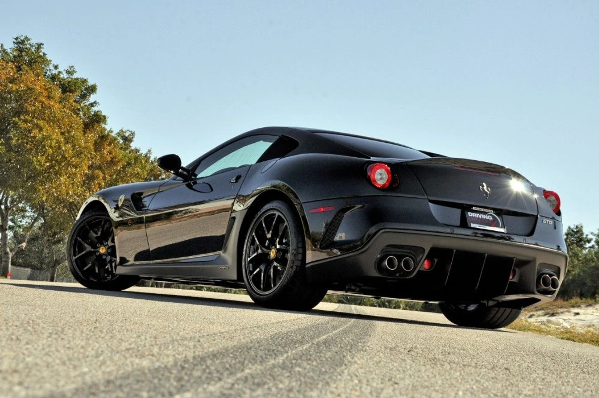 mph052_2045665458_82_p53_l_6d4aa3071e