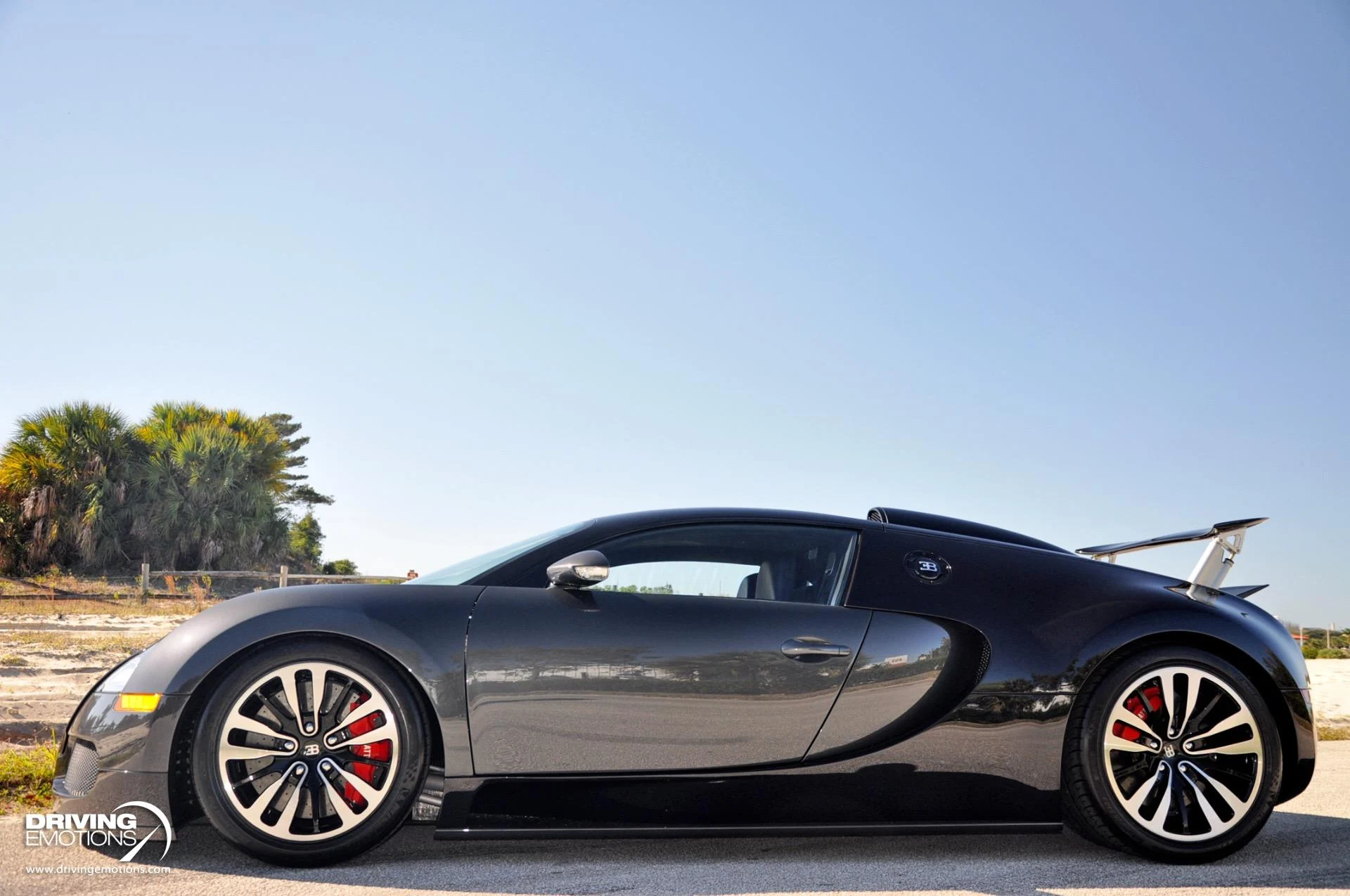 mph052_2243675775_479_p53_l_cab1862ba9