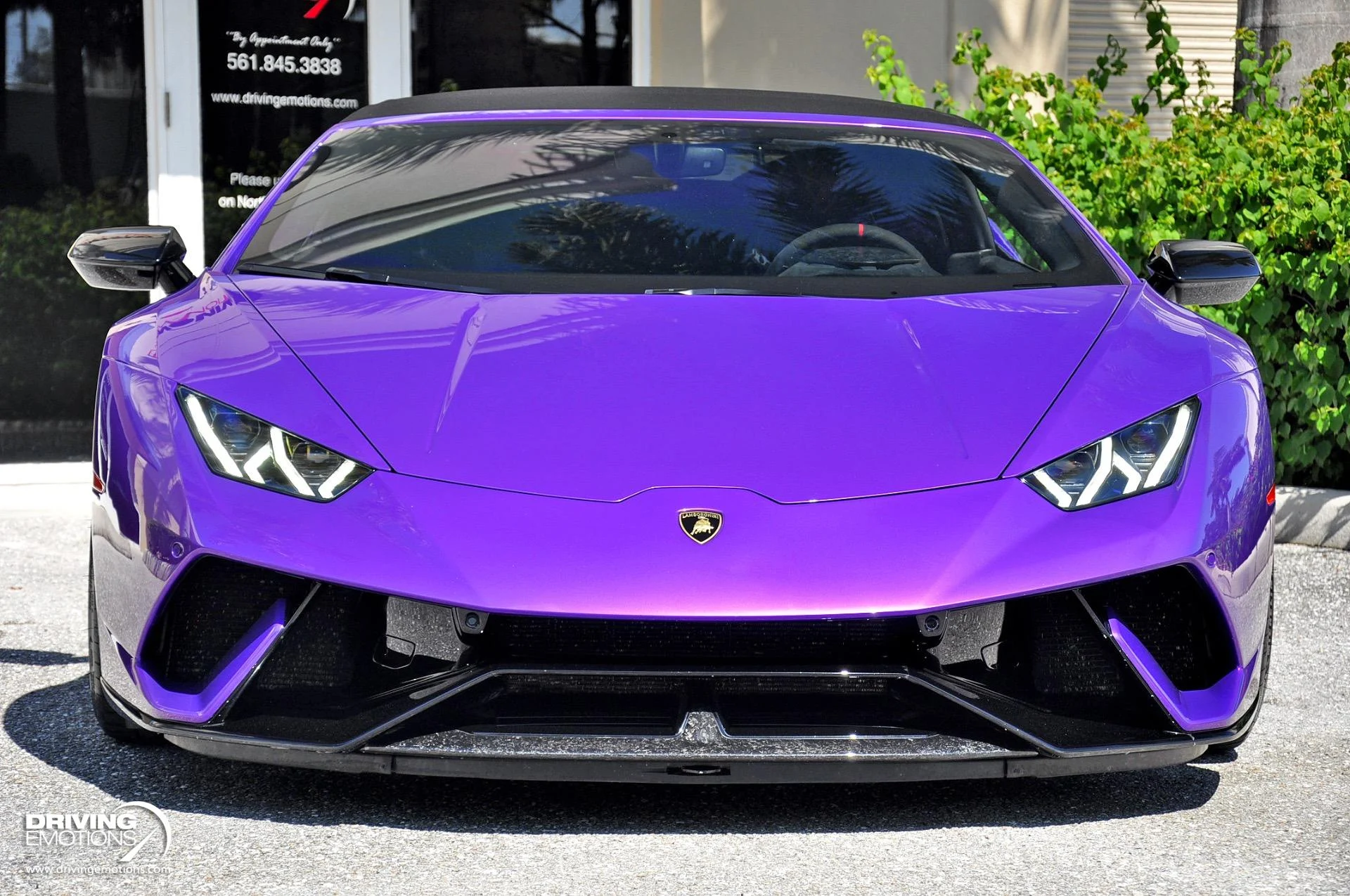 mph052_2442932178_863_p53_l_11deb1abab